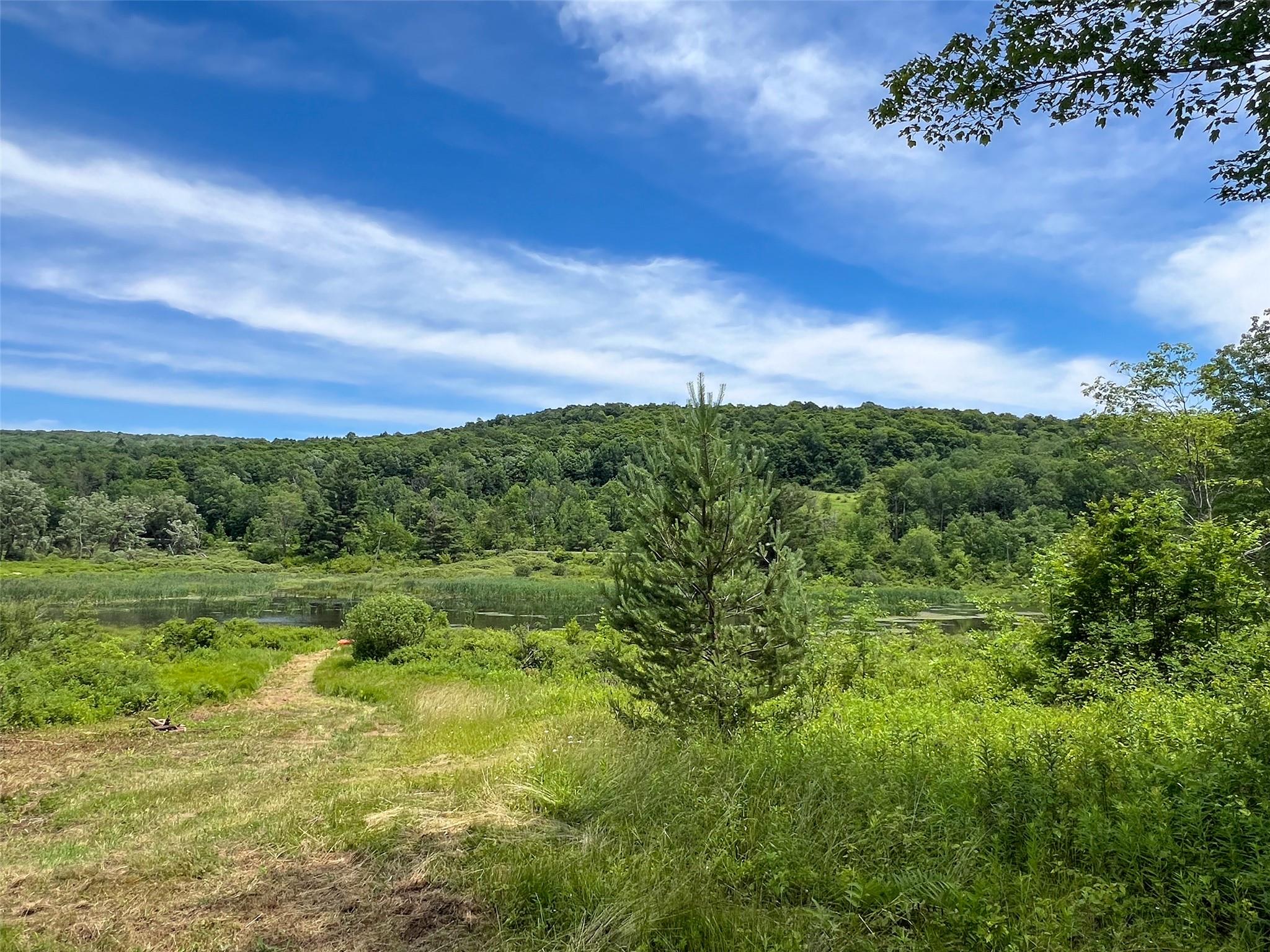 Woodland Hills Road, Andes, NY 13731