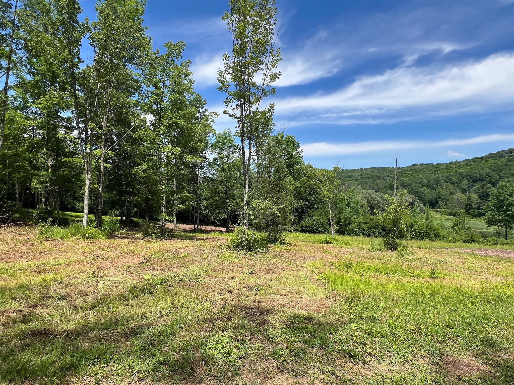 Woodland Hills Road, Andes, NY 13731