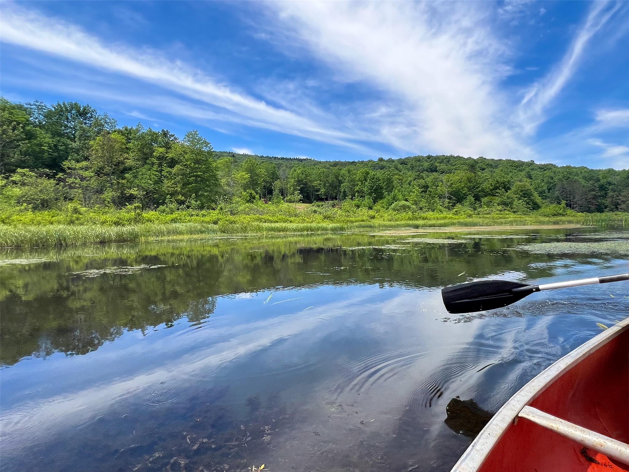 Woodland Hills Road, Andes, NY 13731