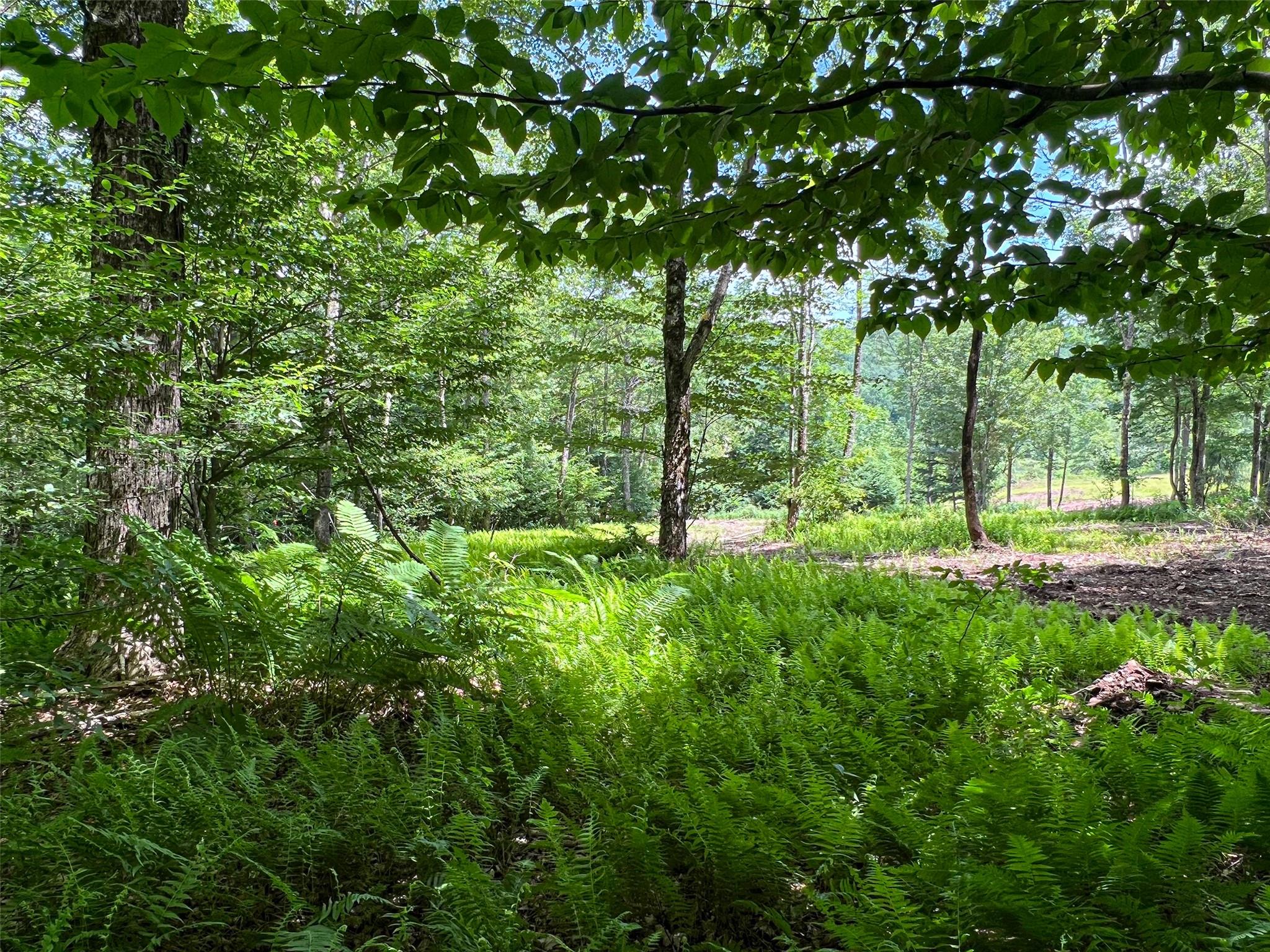 Woodland Hills Road, Andes, NY 13731