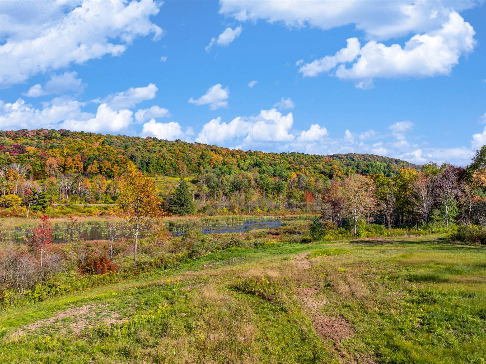 Woodland Hills Road, Andes, NY 13731