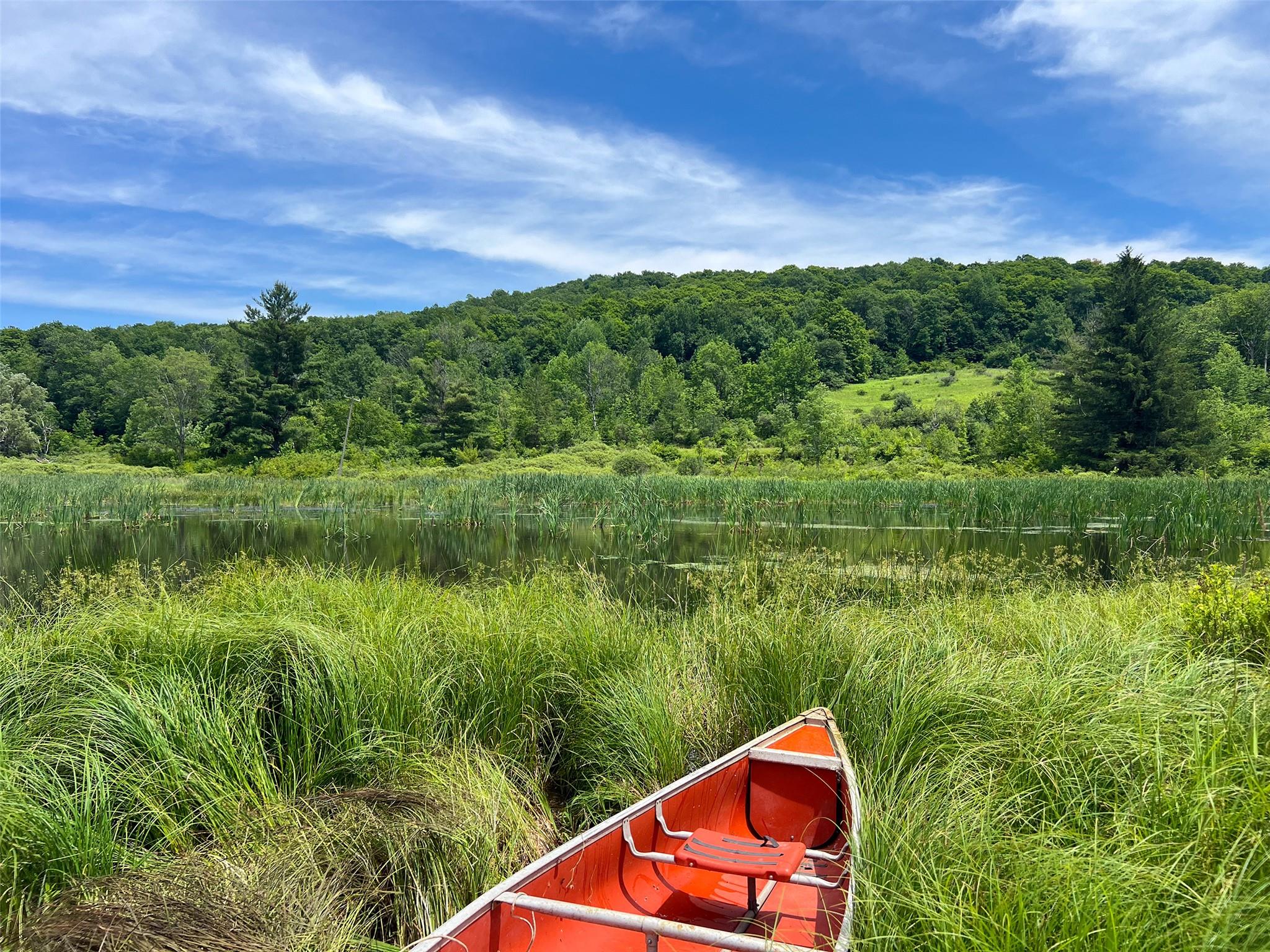 Woodland Hills Road, Andes, NY 13731