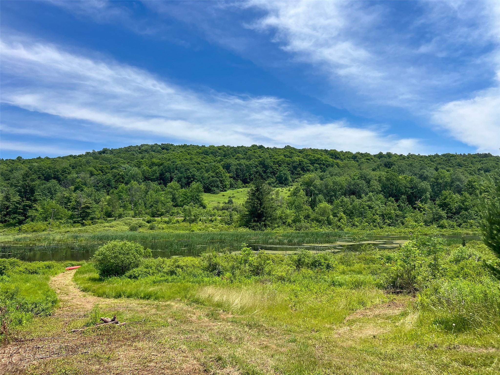 Woodland Hills Road, Andes, NY 13731