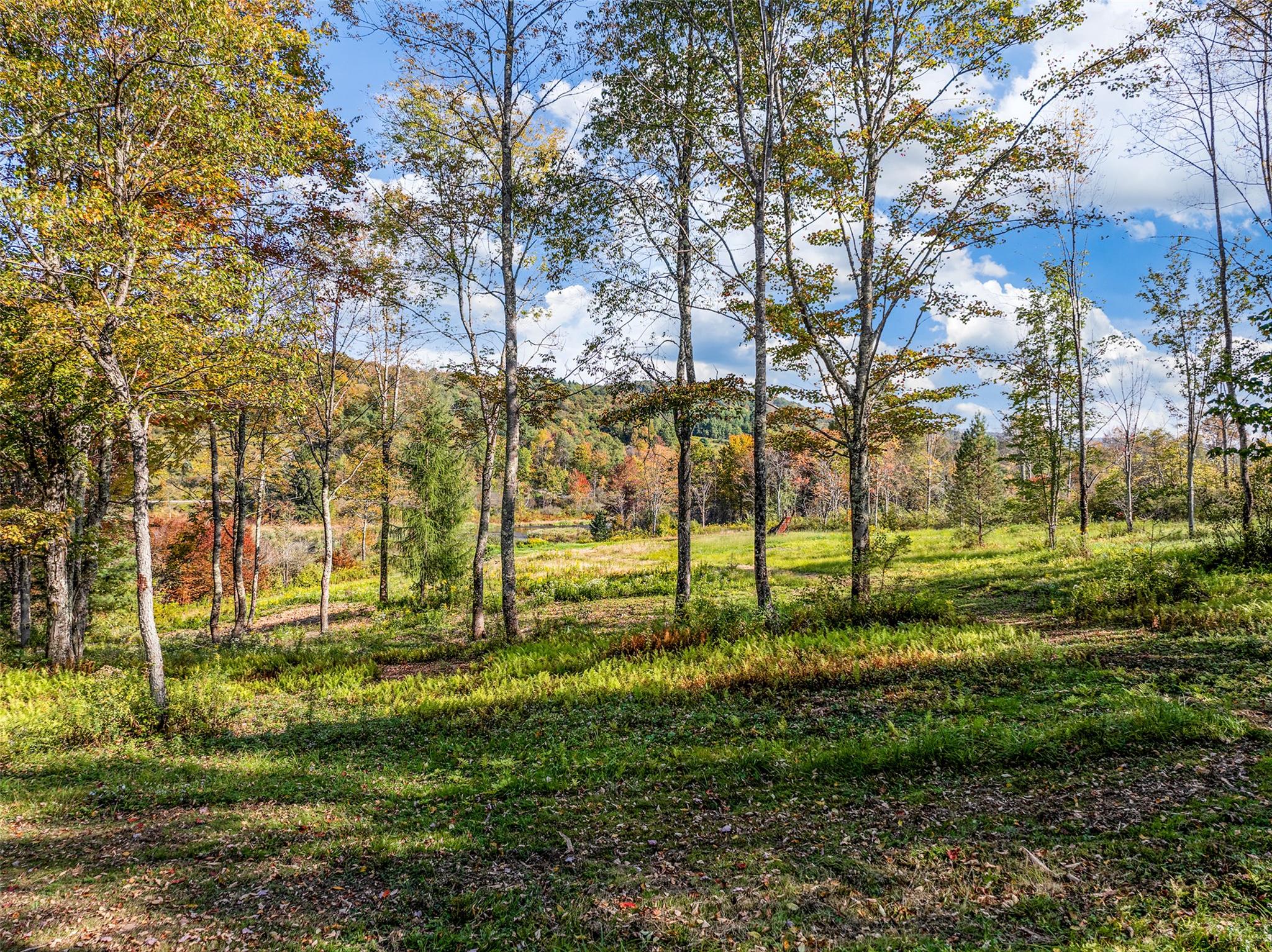 Woodland Hills Road, Andes, NY 13731