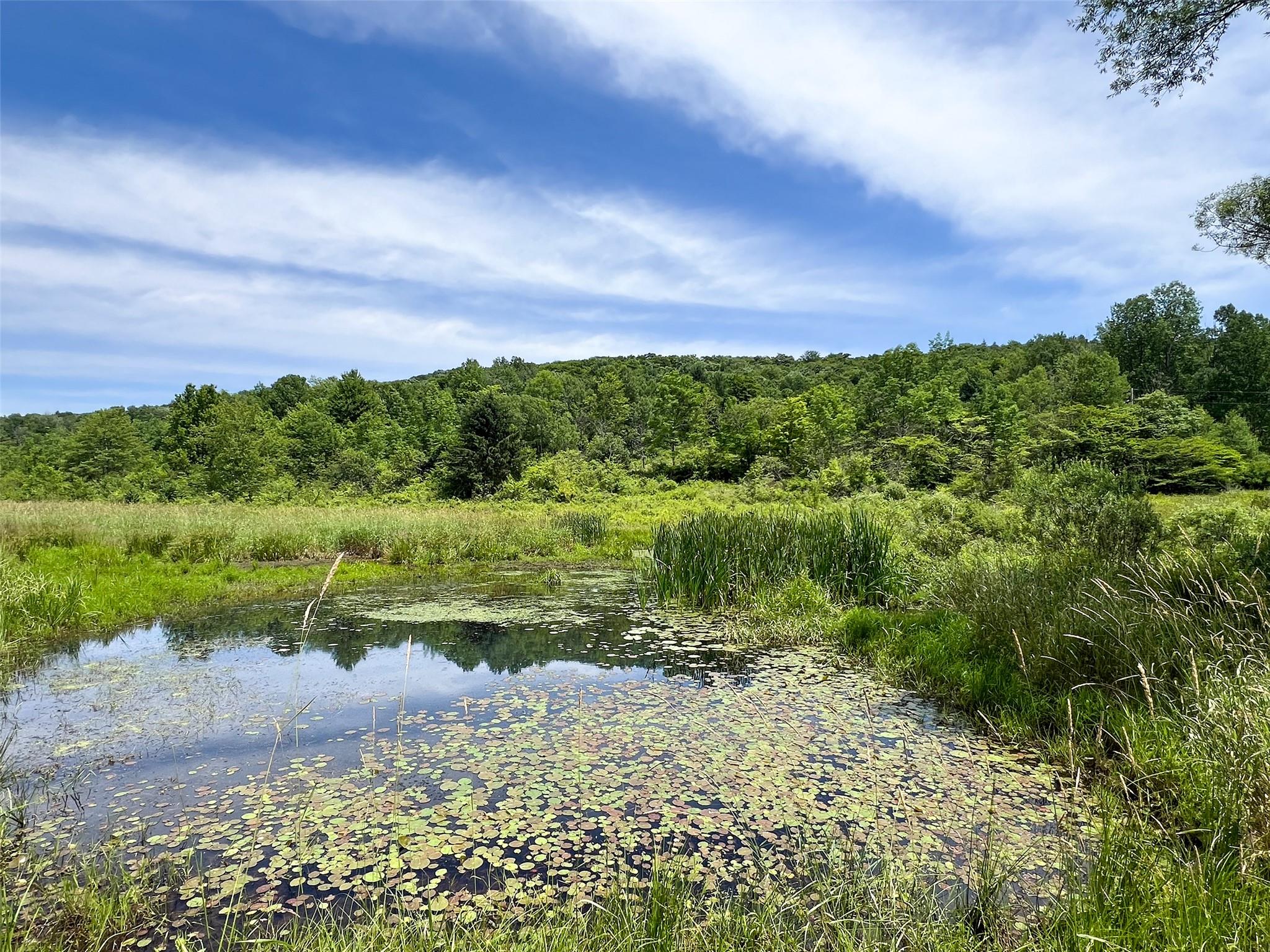 Woodland Hills Road, Andes, NY 13731