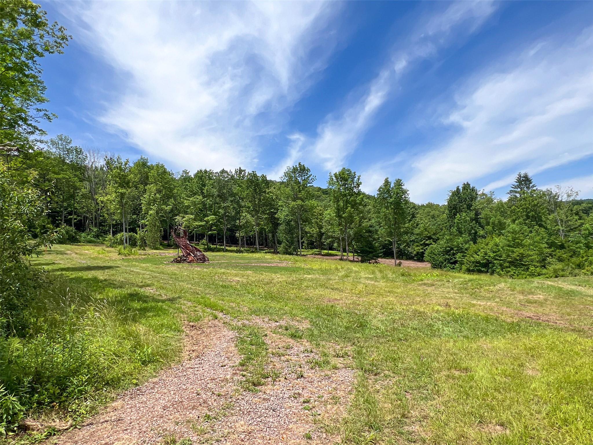 Woodland Hills Road, Andes, NY 13731