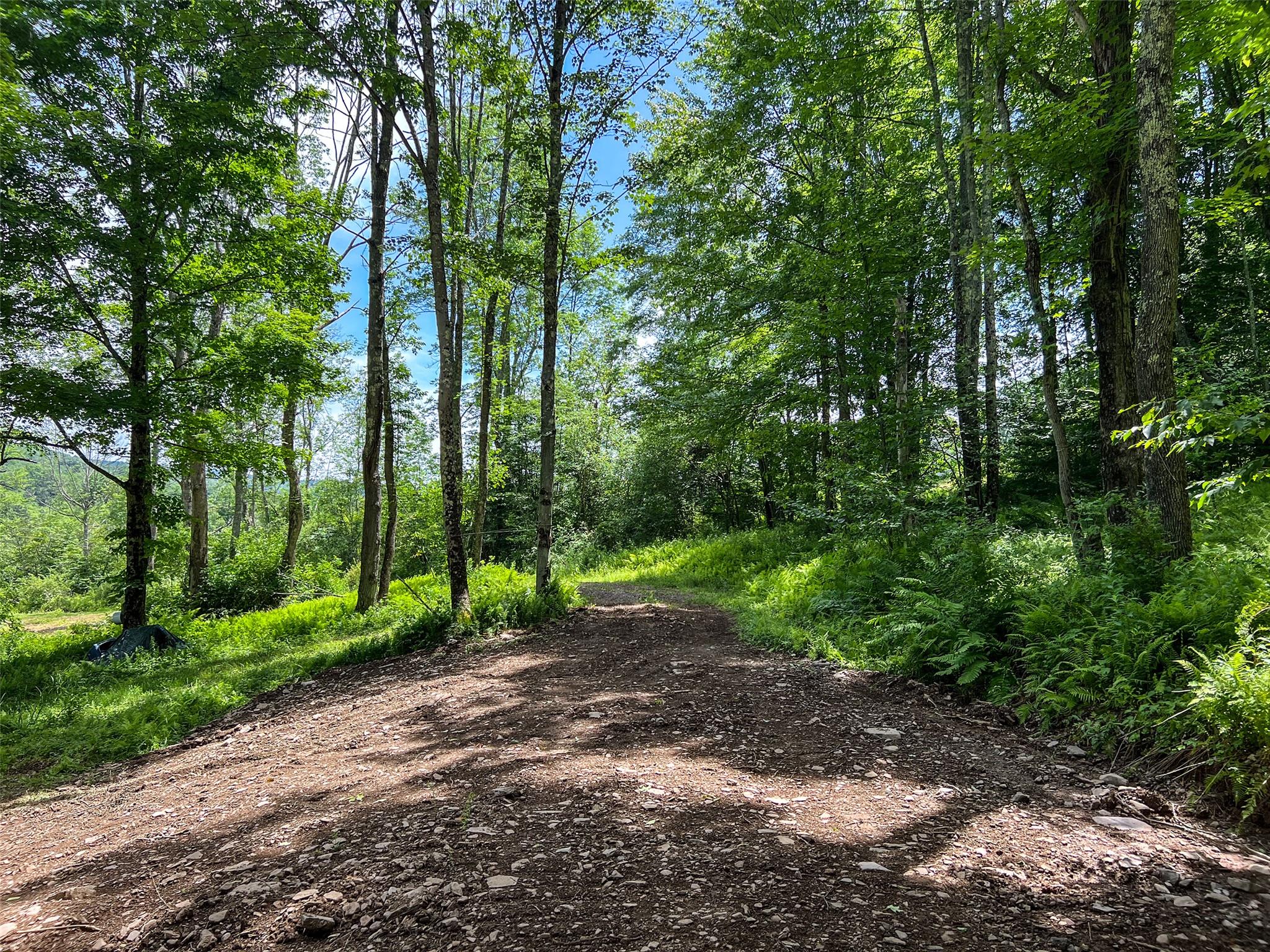 Woodland Hills Road, Andes, NY 13731