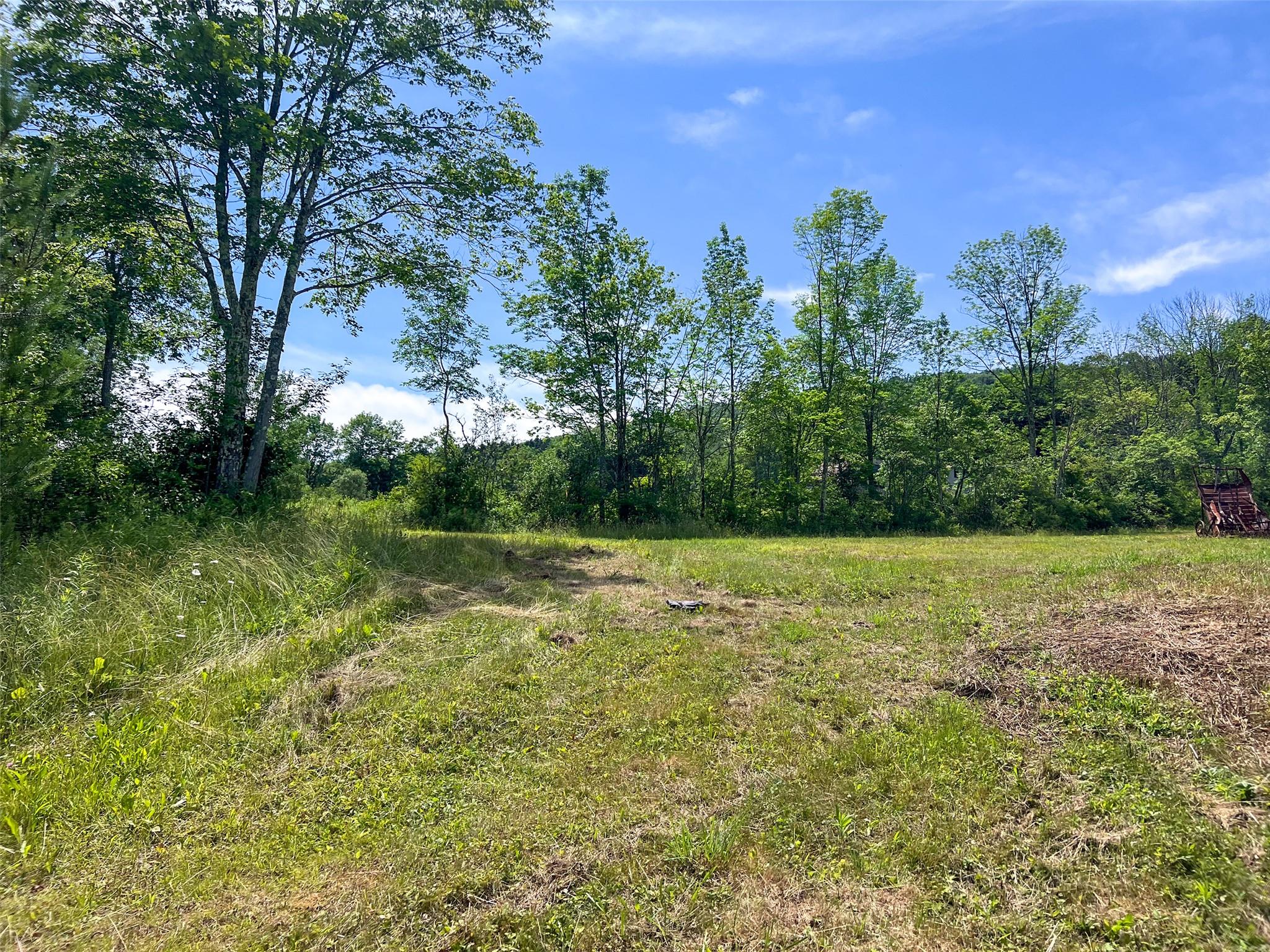 Woodland Hills Road, Andes, NY 13731