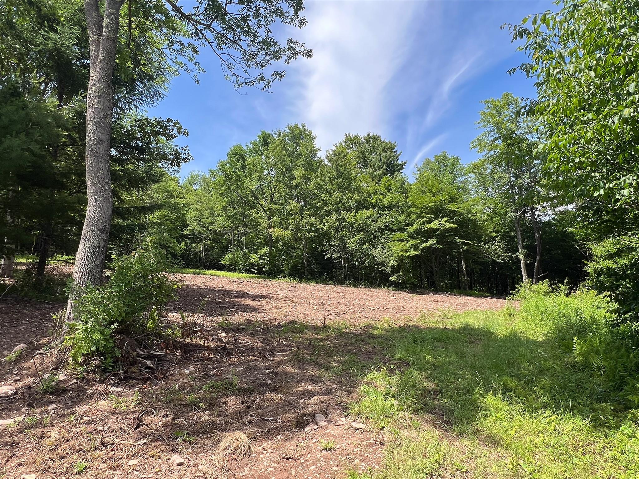 Woodland Hills Road, Andes, NY 13731