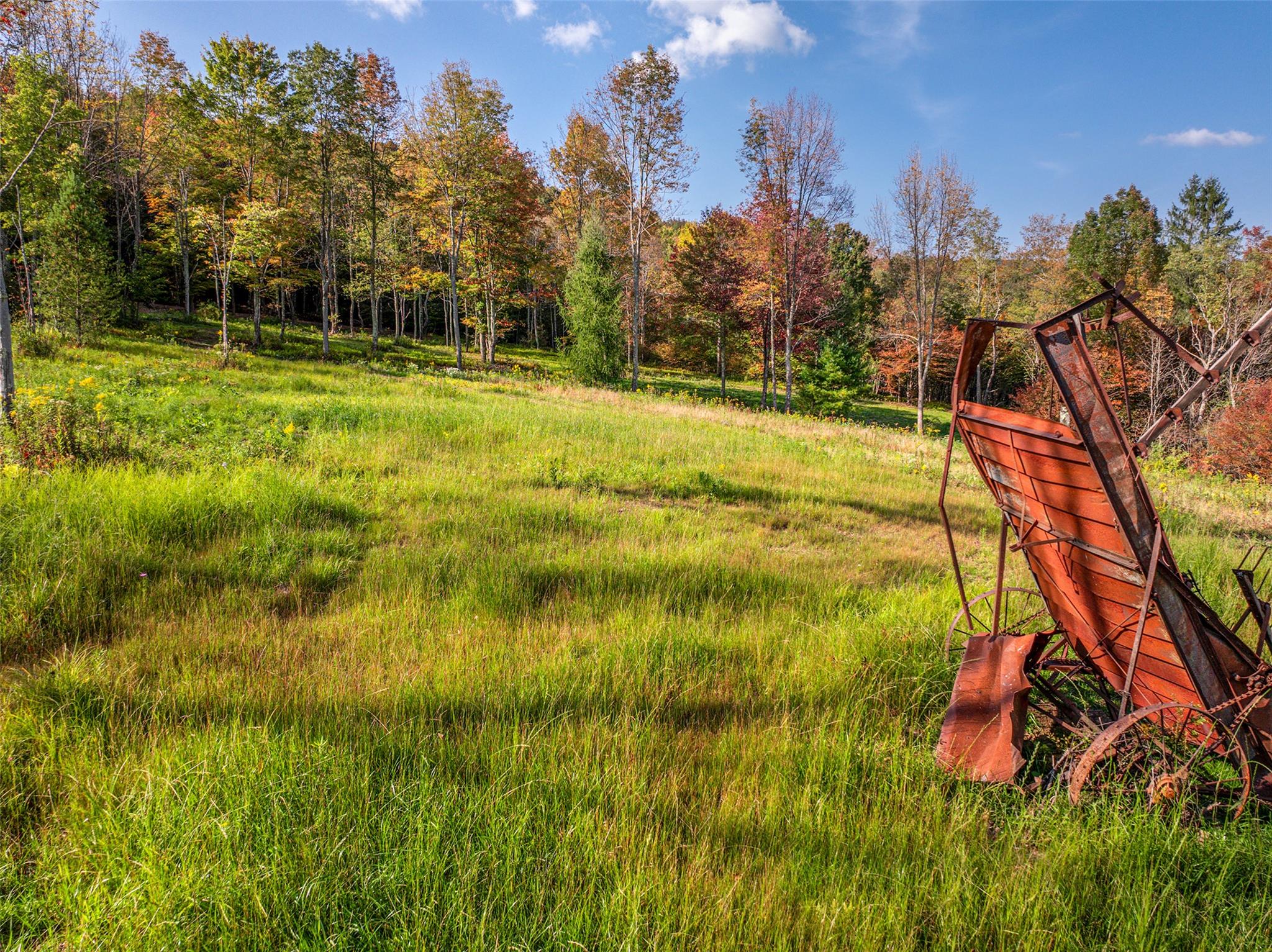 Woodland Hills Road, Andes, NY 13731