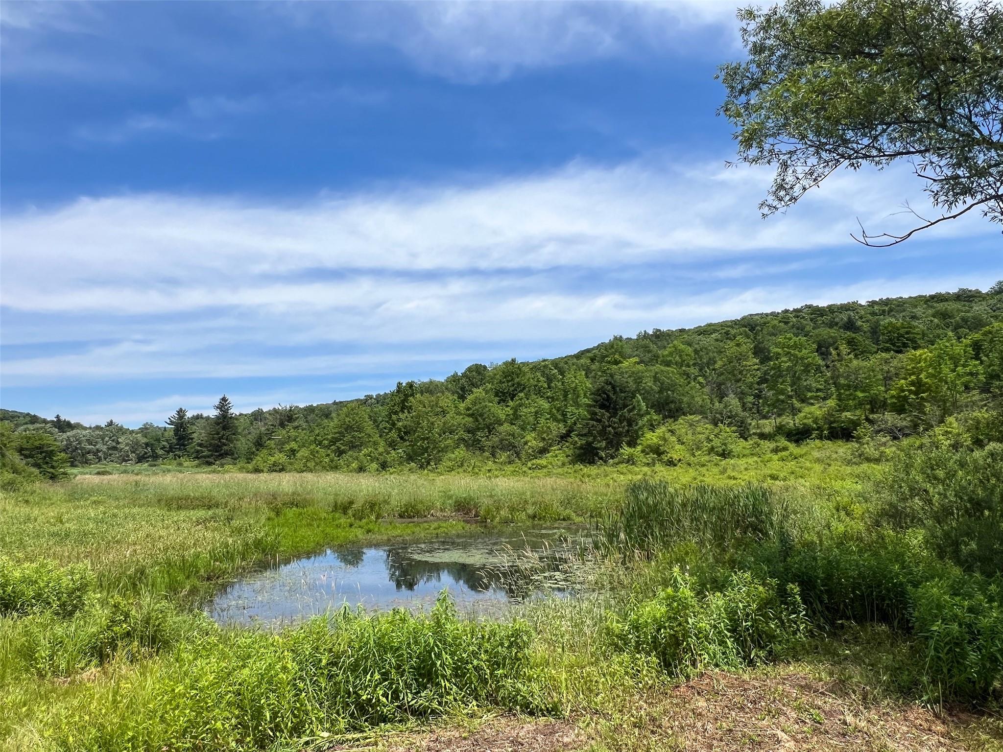 Woodland Hills Road, Andes, NY 13731