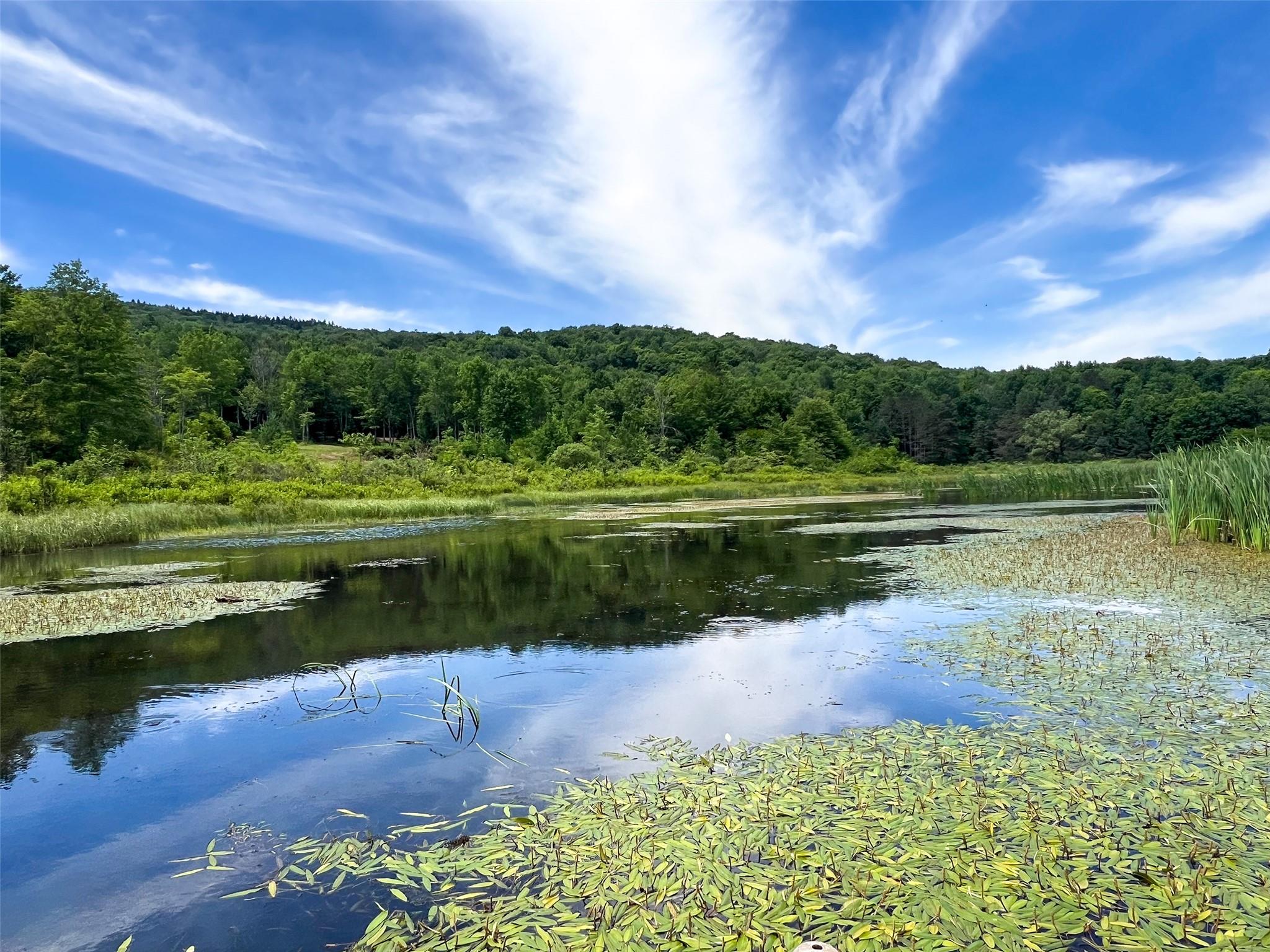 Woodland Hills Road, Andes, NY 13731