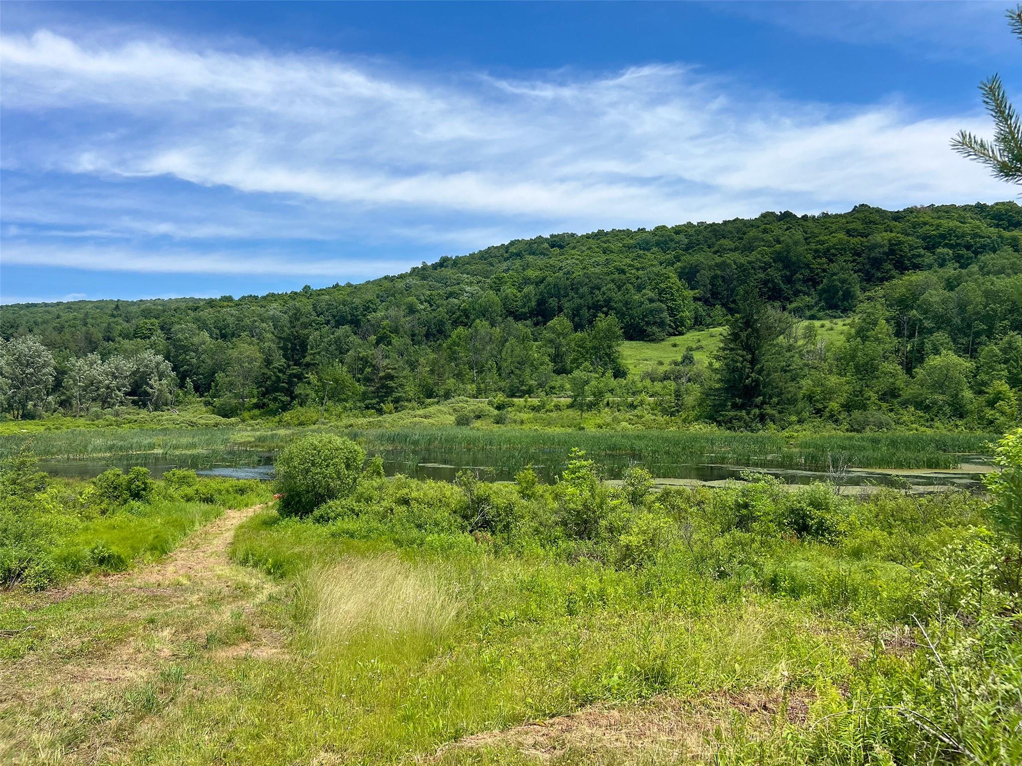 Woodland Hills Road, Andes, NY 13731