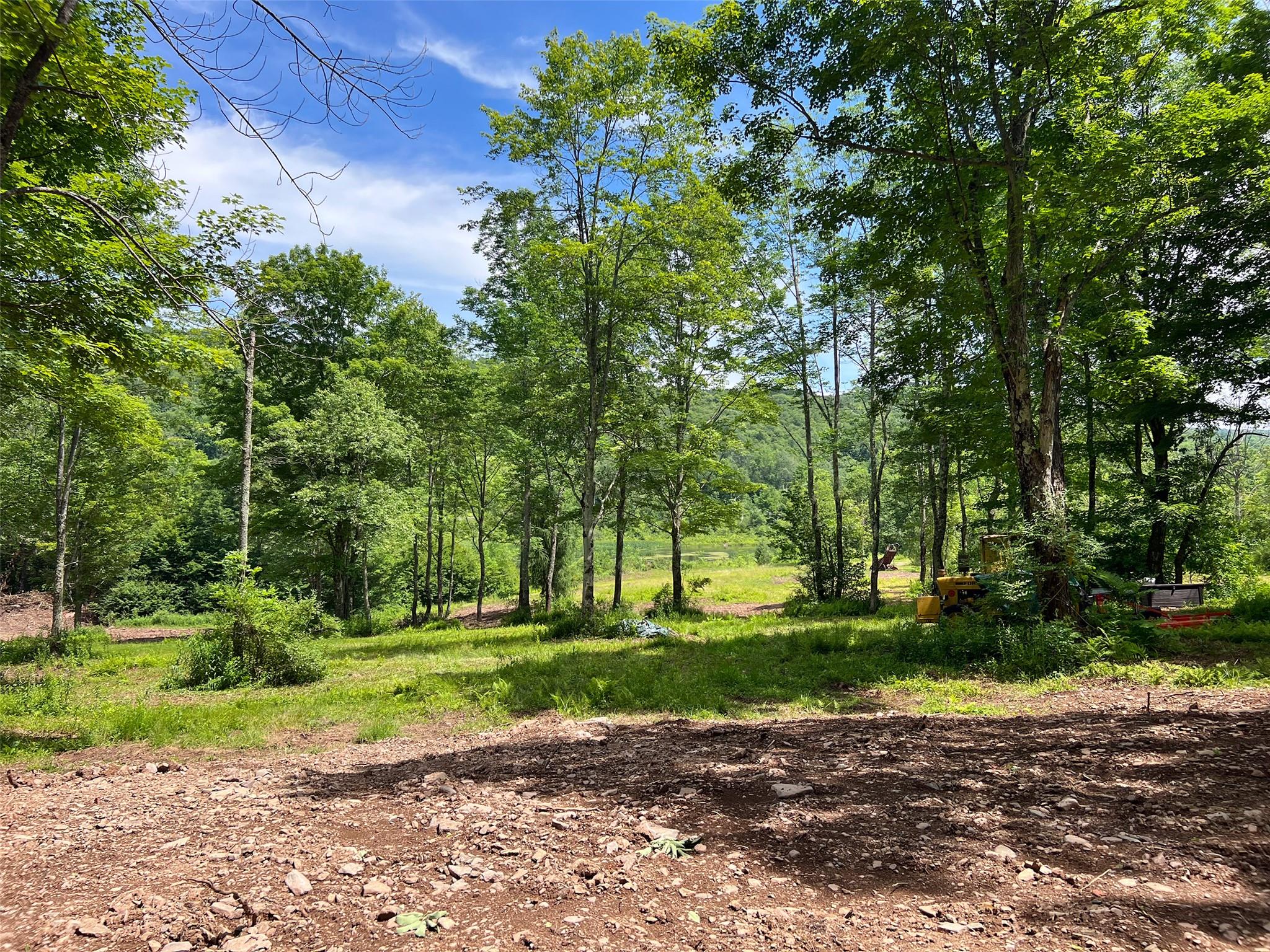 Woodland Hills Road, Andes, NY 13731