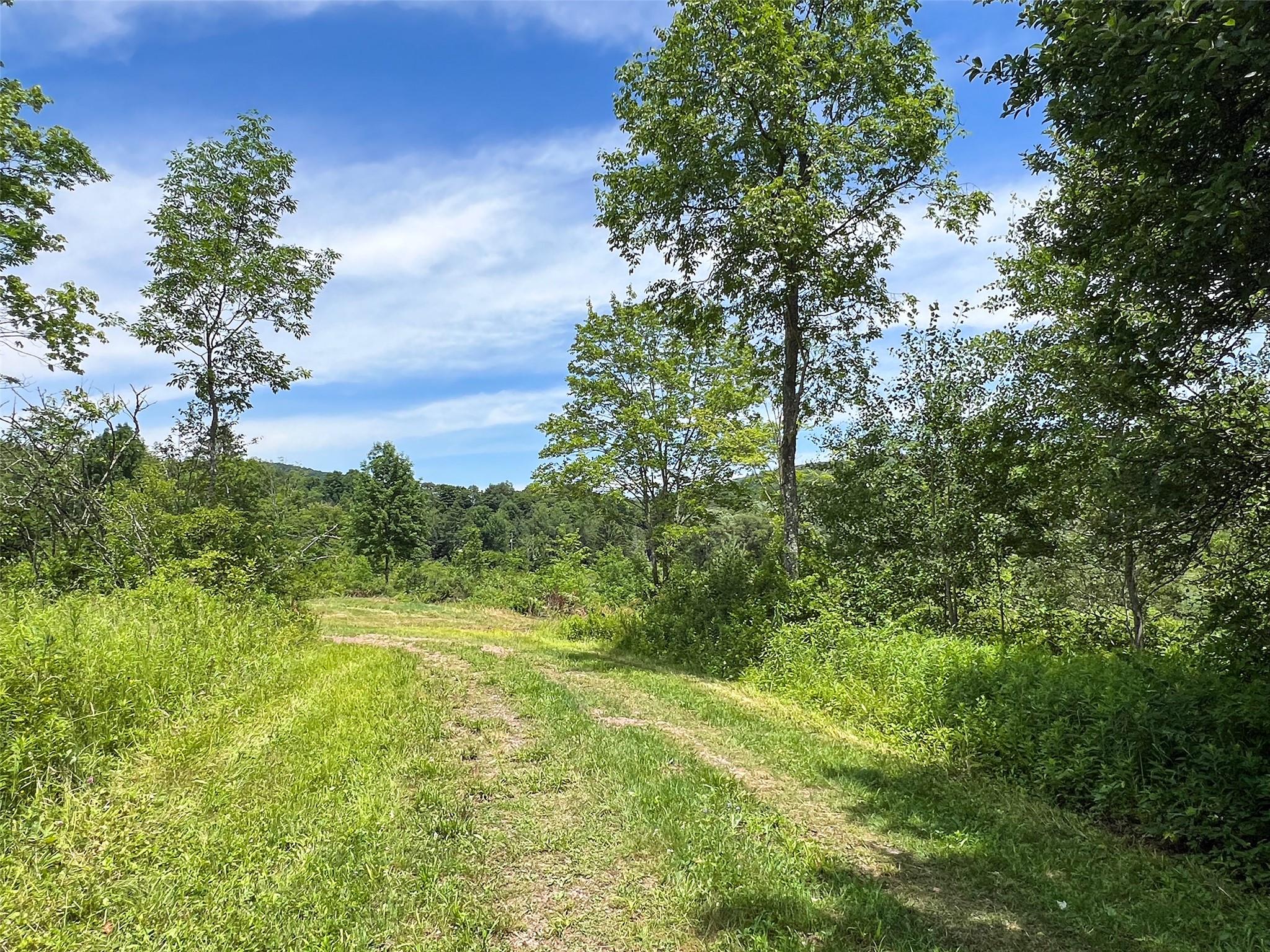 Woodland Hills Road, Andes, NY 13731