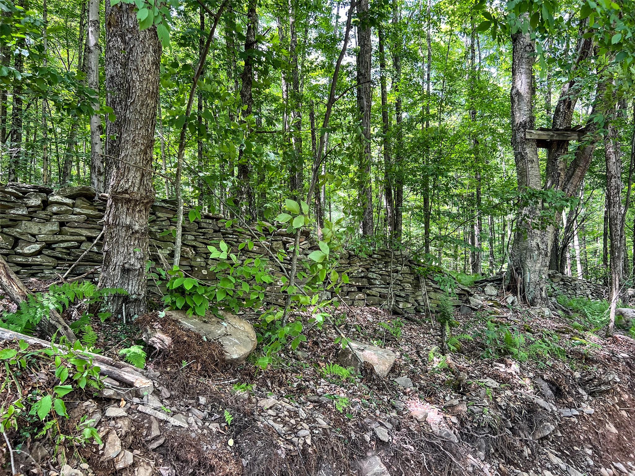 Woodland Hills Road, Andes, NY 13731