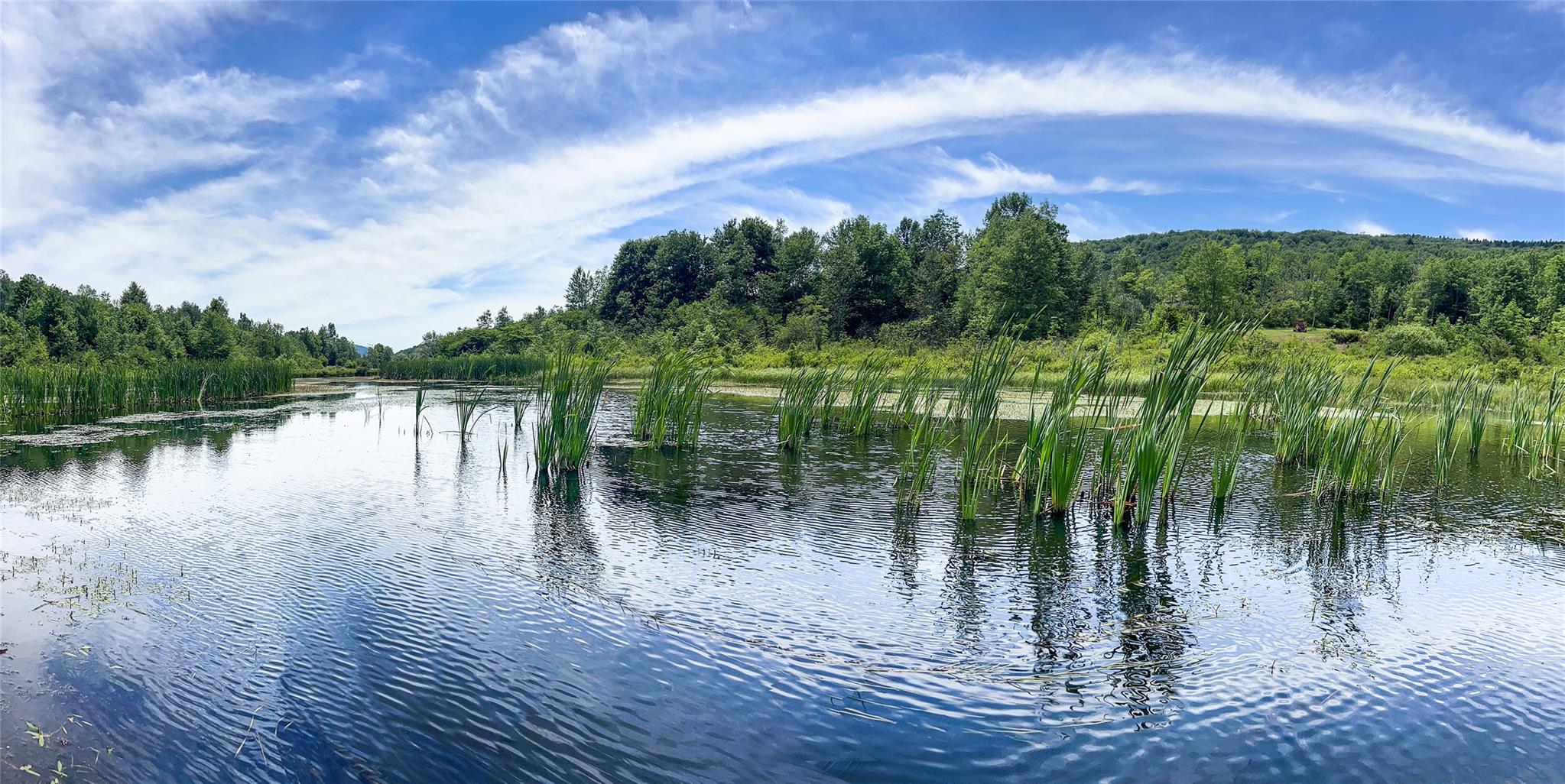 Woodland Hills Road, Andes, NY 13731