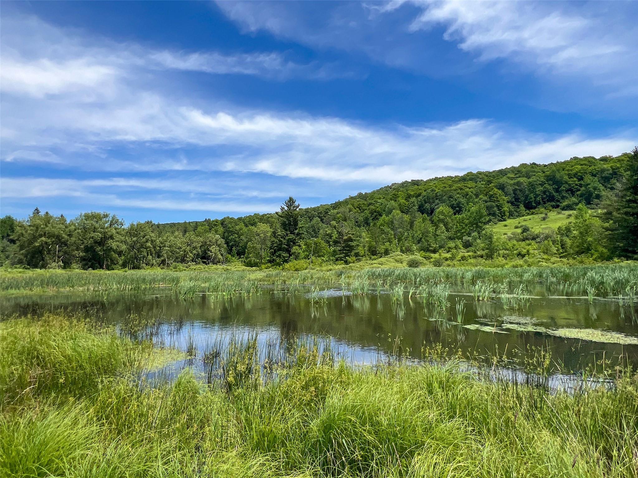 Woodland Hills Road, Andes, NY 13731