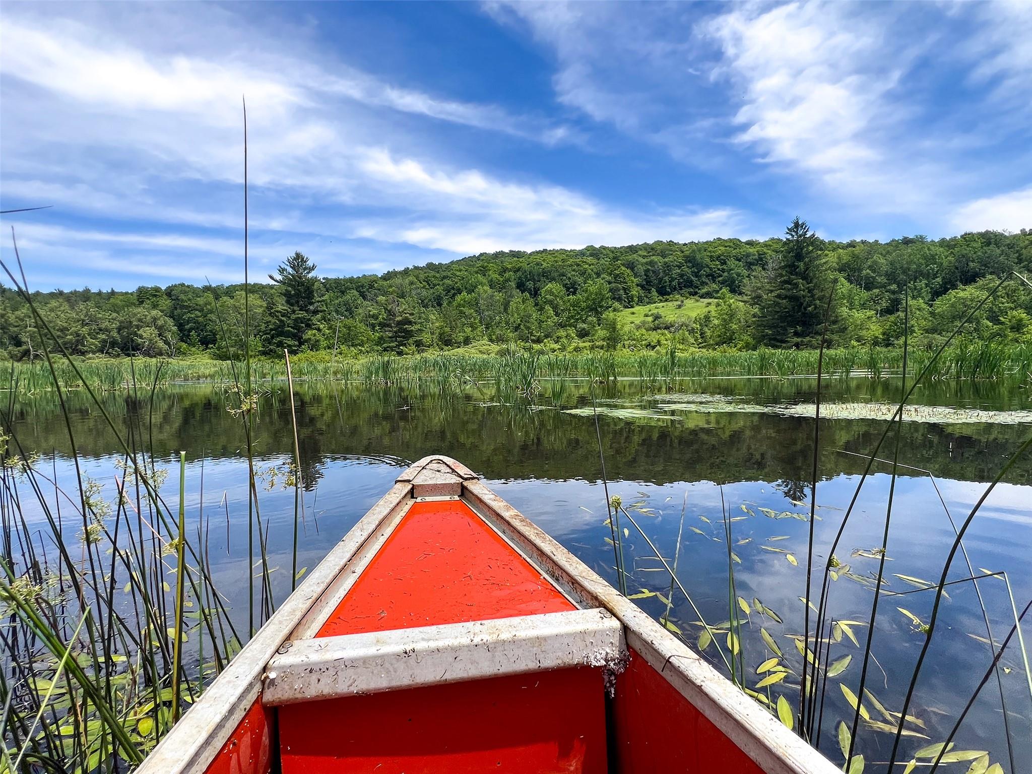 Woodland Hills Road, Andes, NY 13731