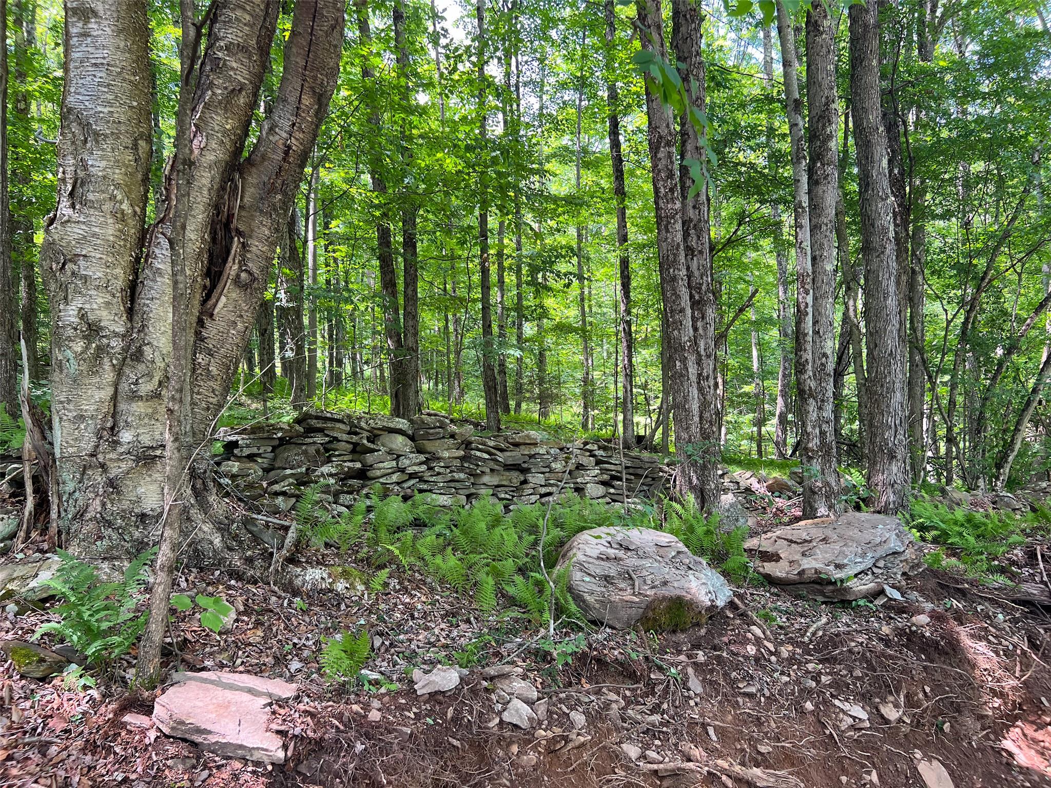 Woodland Hills Road, Andes, NY 13731