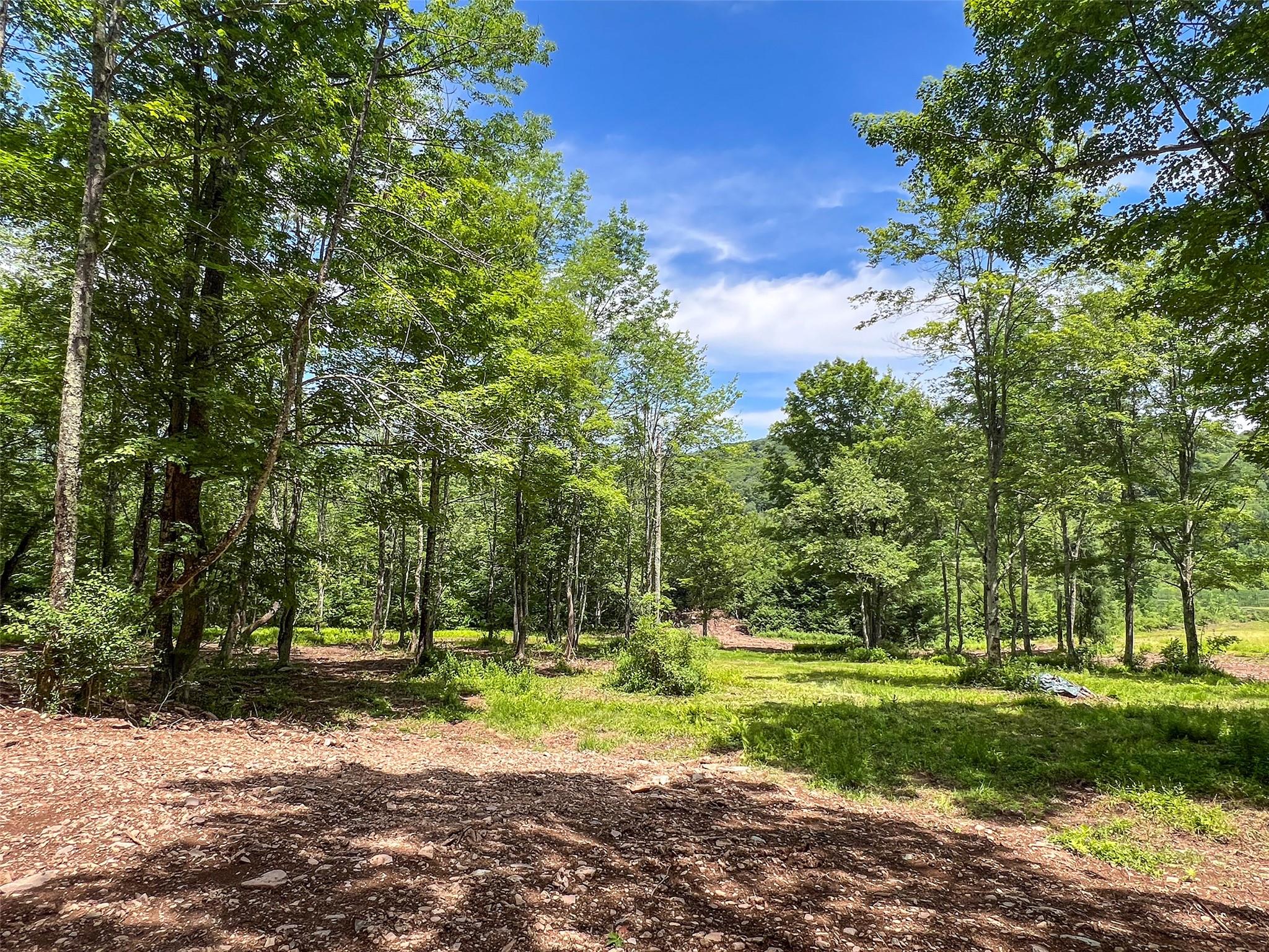 Woodland Hills Road, Andes, NY 13731