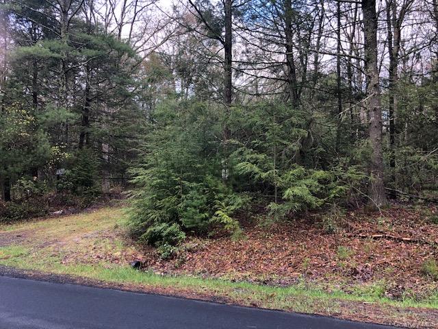 Crawford Road, Barryville, NY 12528