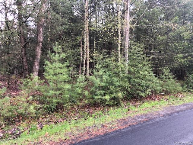 Crawford Road, Barryville, NY 12528