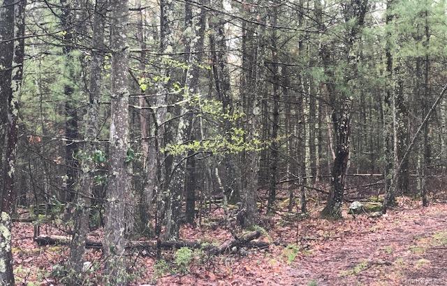 Eldred-Yulan Road, Eldred, NY 12528