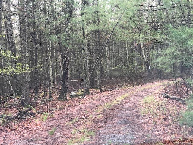 Eldred-Yulan Road, Eldred, NY 12528