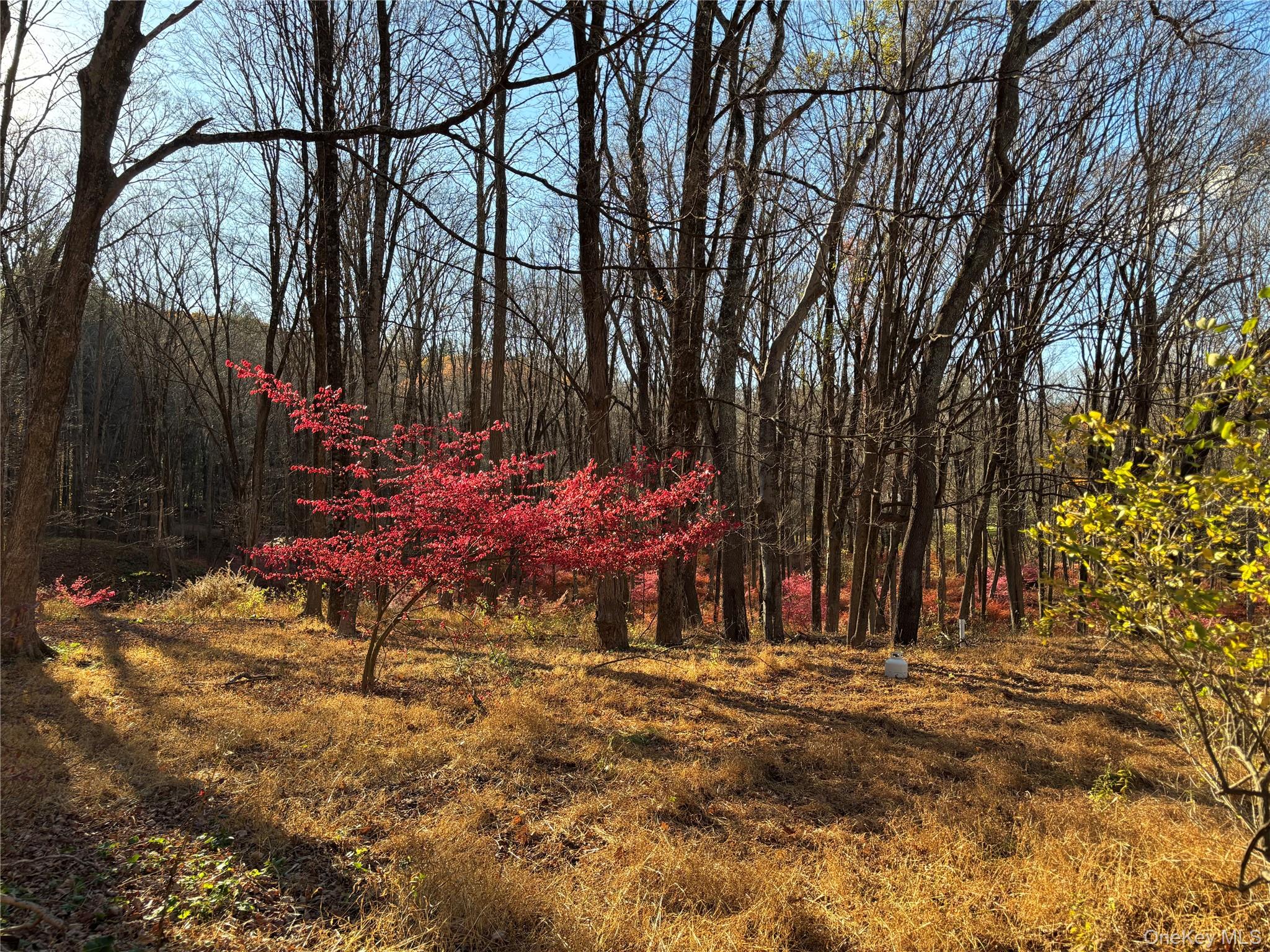 201 Long Ridge Road, Bedford, NY 10506