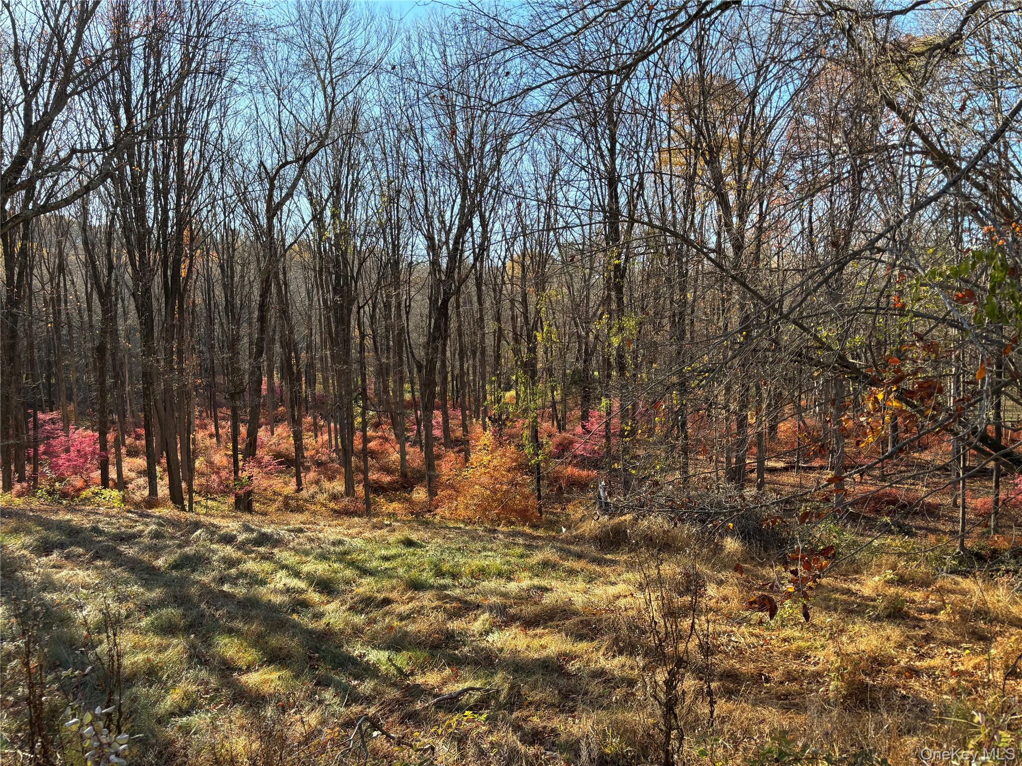 201 Long Ridge Road, Bedford, NY 10506