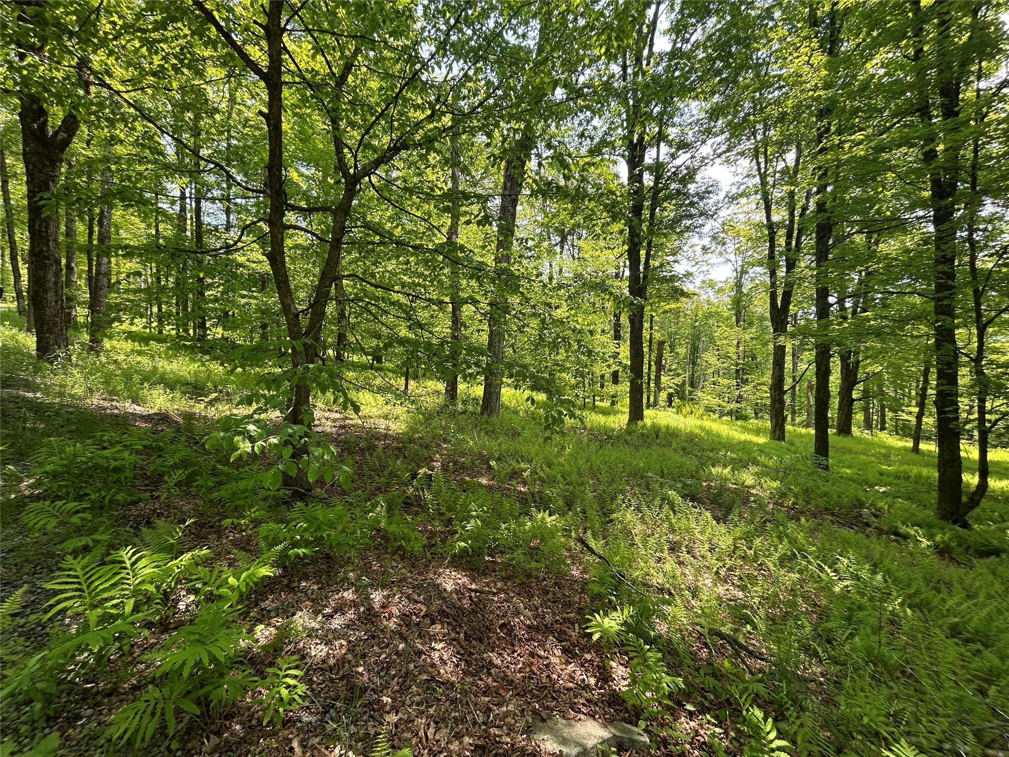 TBD High Meadow Road, Lew Beach, NY 12758