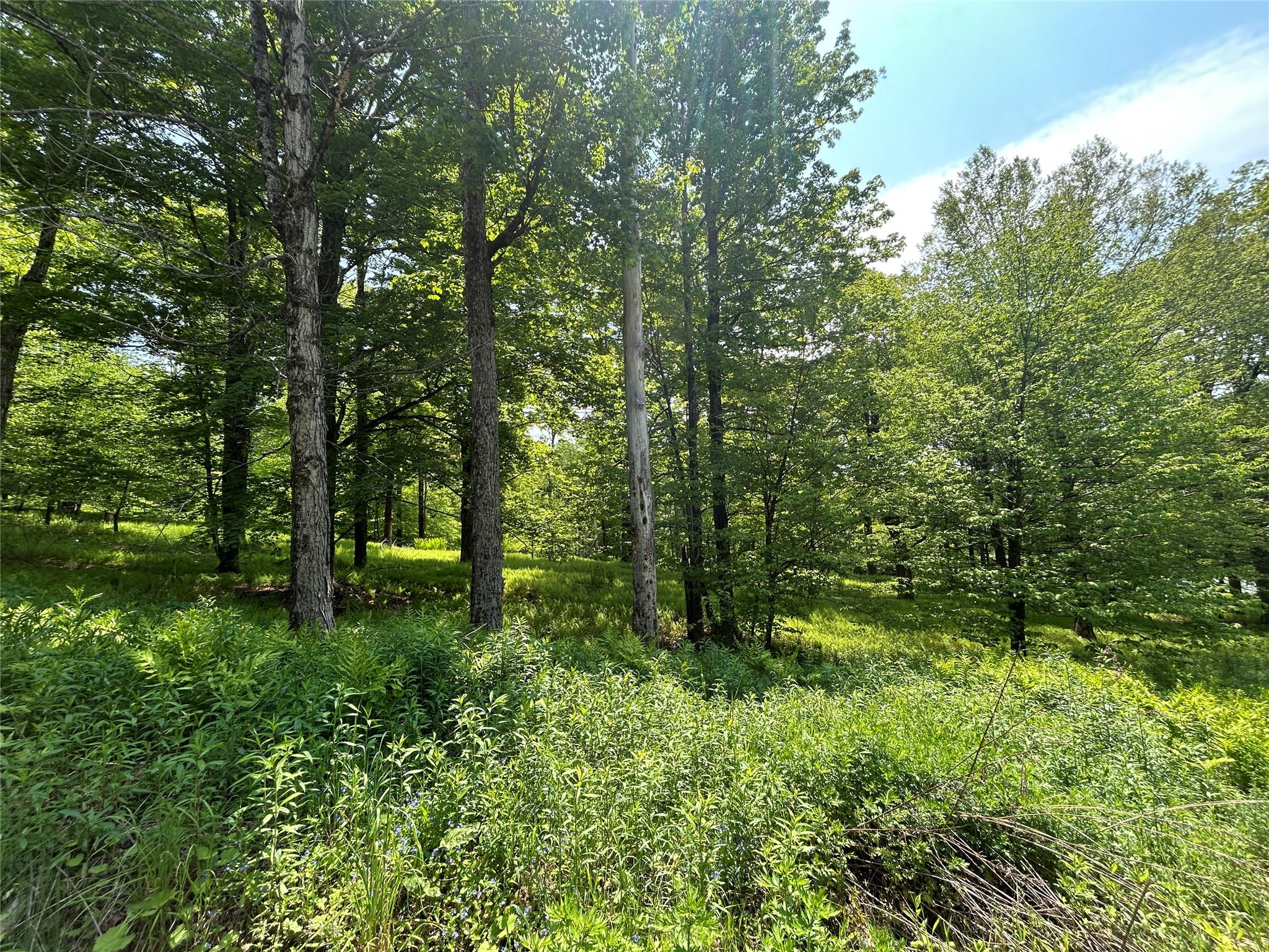 TBD High Meadow Road, Lew Beach, NY 12758