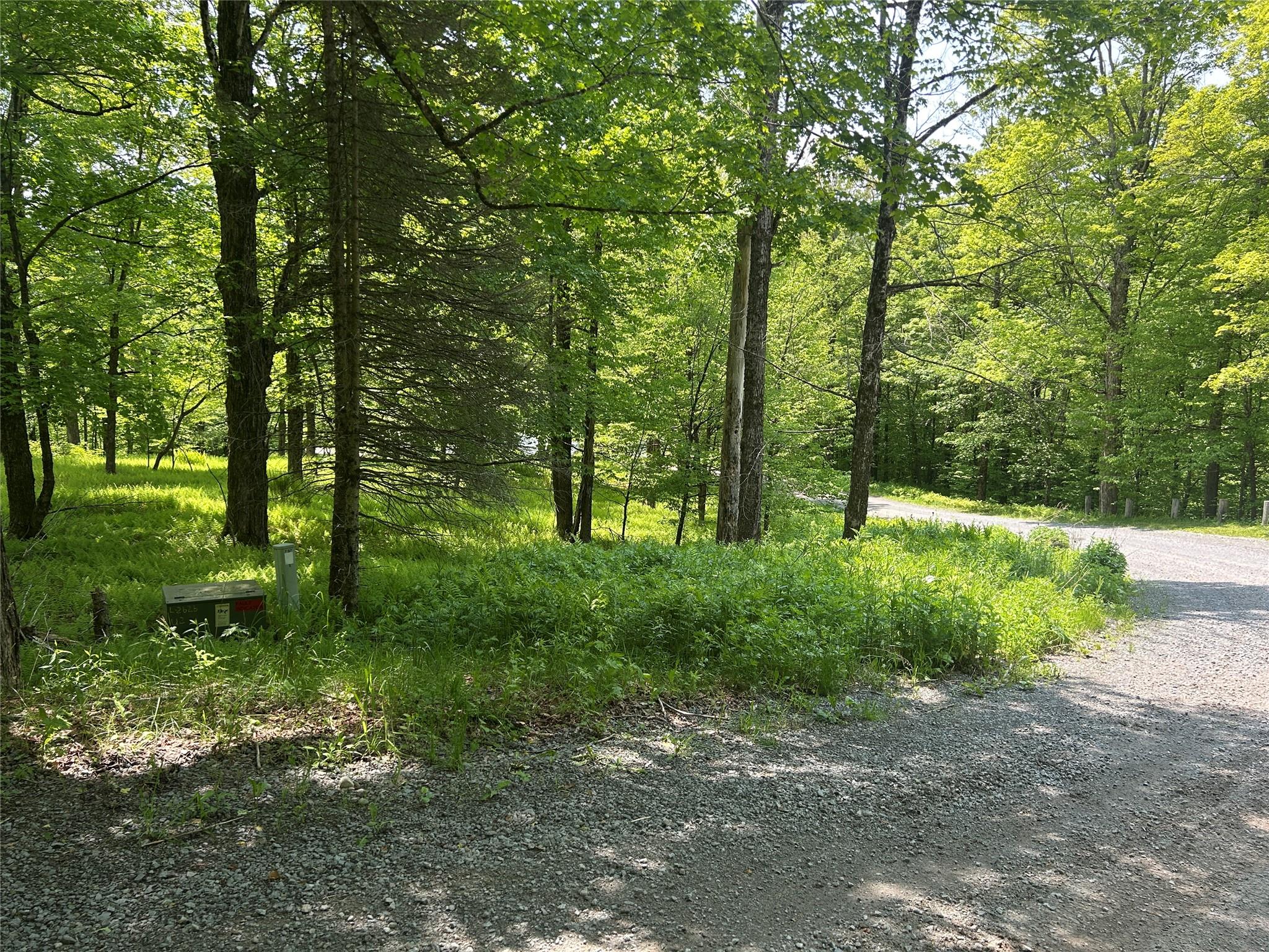 TBD High Meadow Road, Lew Beach, NY 12758