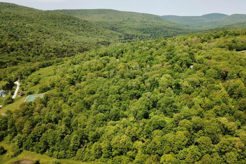 TBD High Meadow Road, Lew Beach, NY 12758