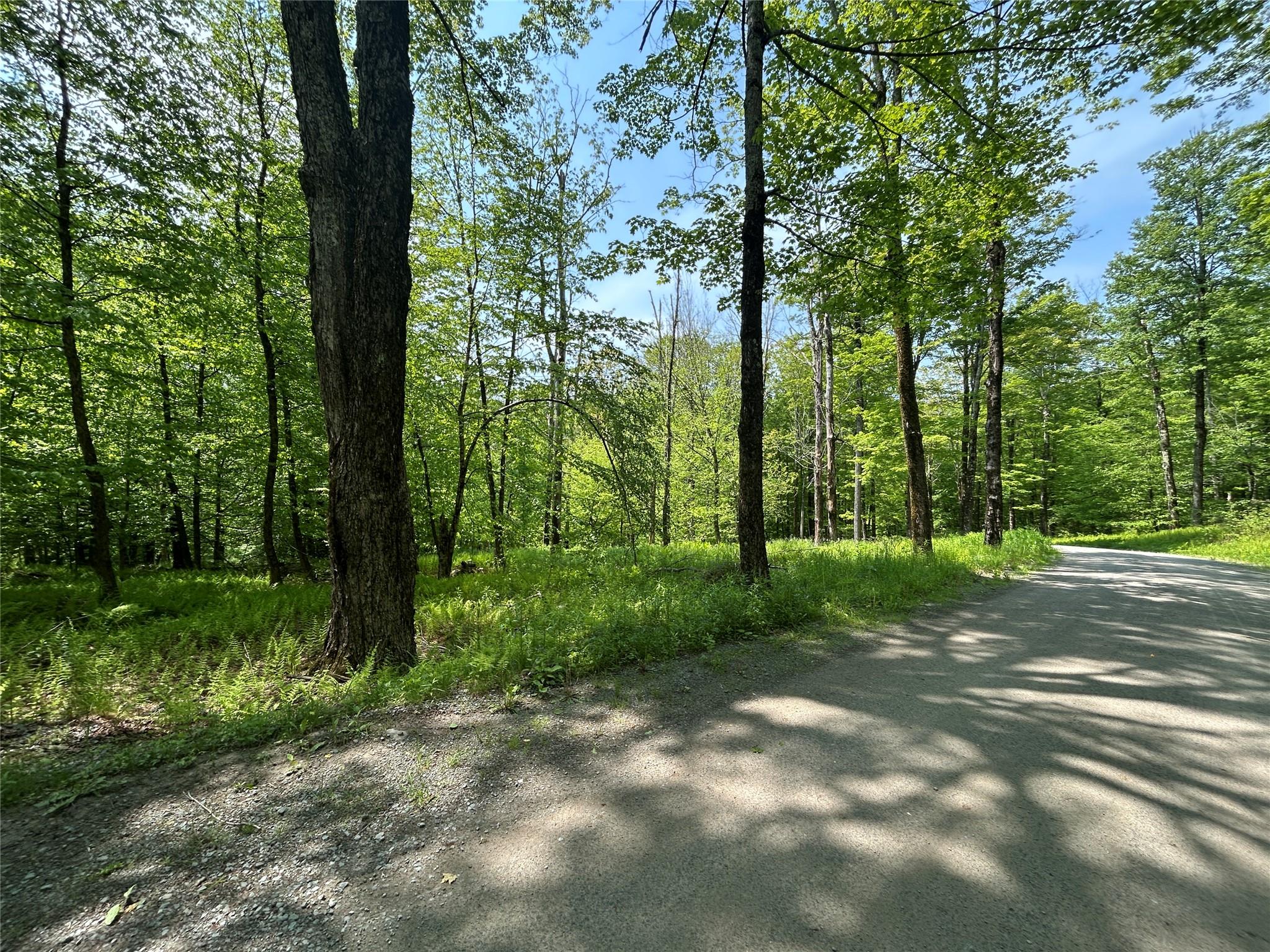 TBD High Meadow Road, Lew Beach, NY 12758