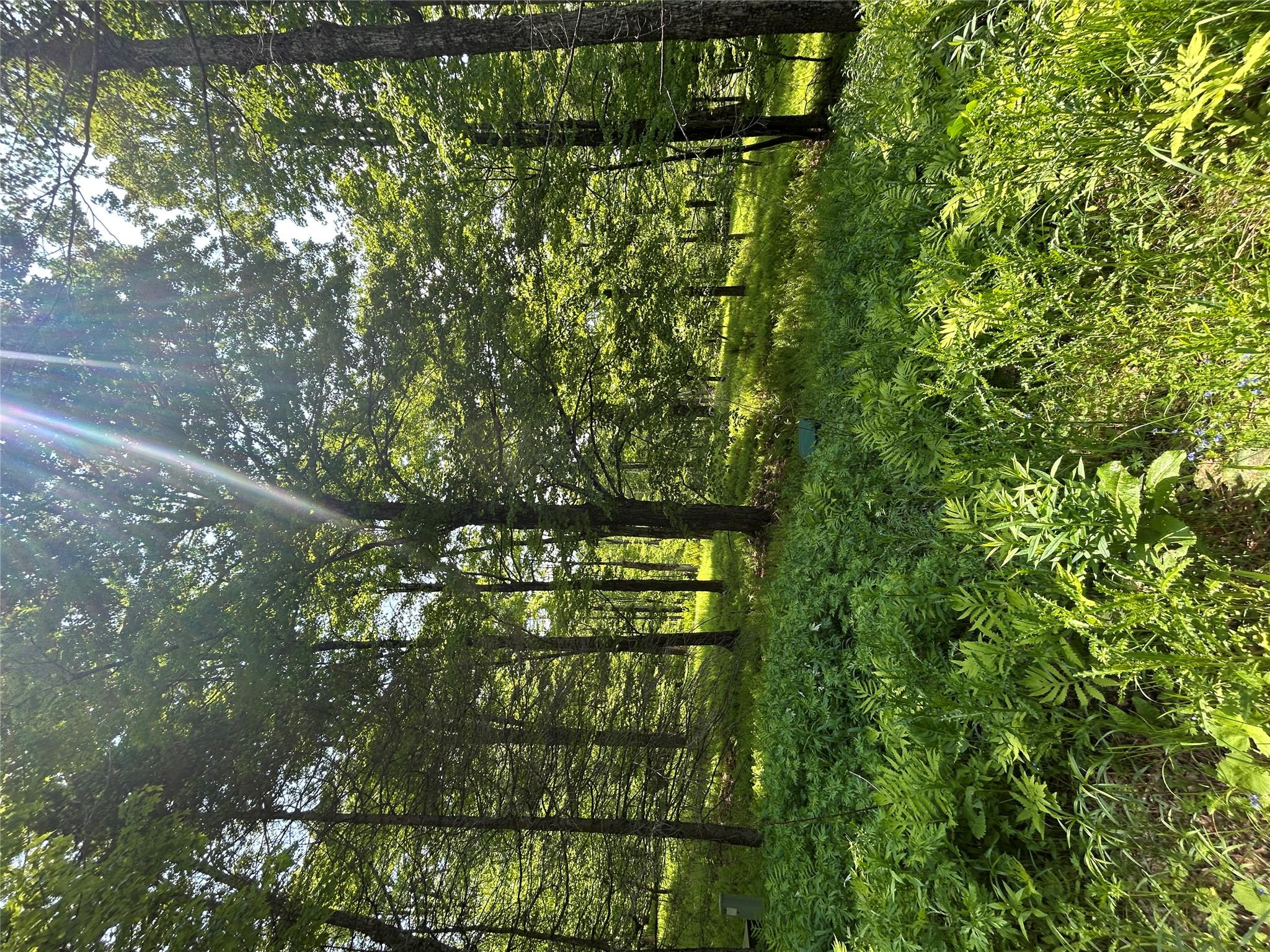 TBD High Meadow Road, Lew Beach, NY 12758