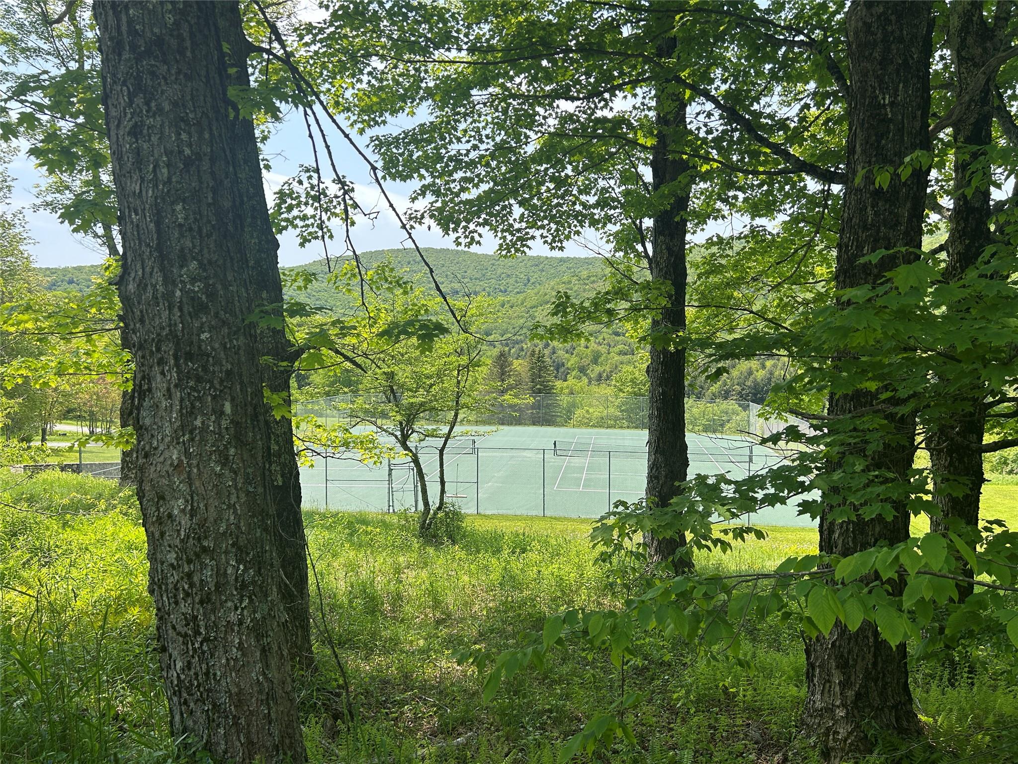 TBD High Meadow Road, Lew Beach, NY 12758