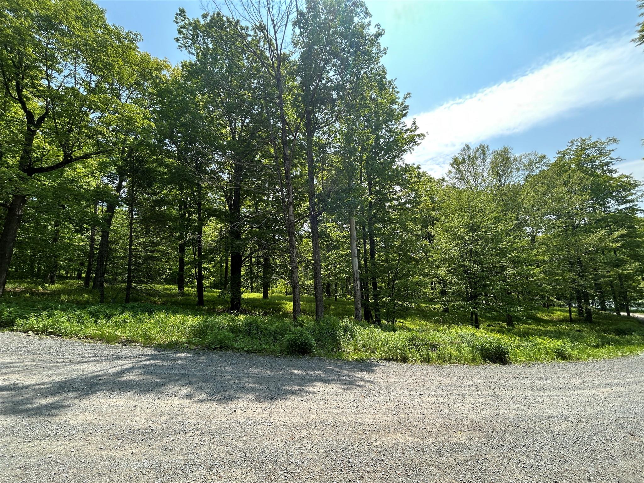 TBD High Meadow Road, Lew Beach, NY 12758