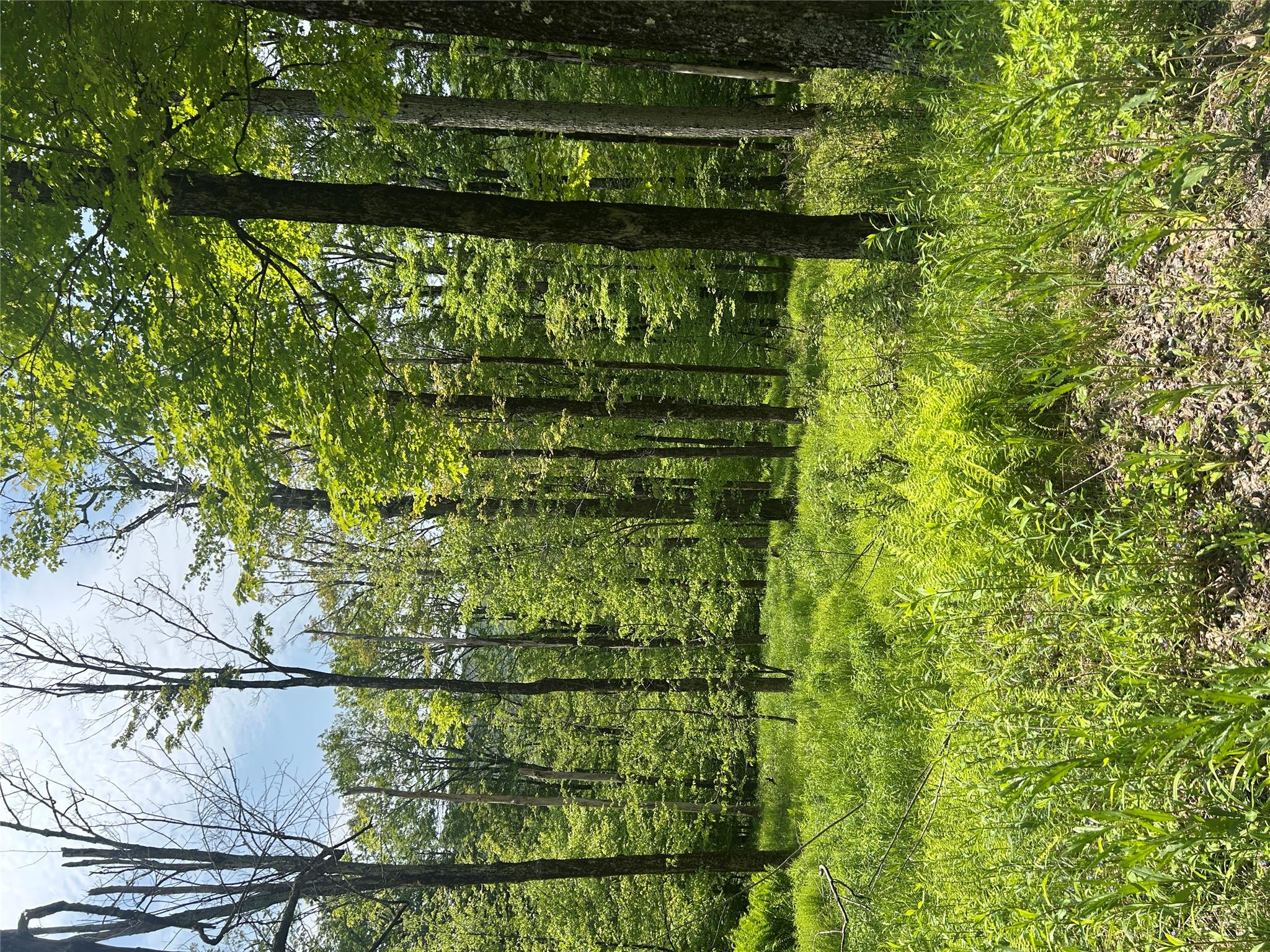 TBD High Meadow Road, Lew Beach, NY 12758