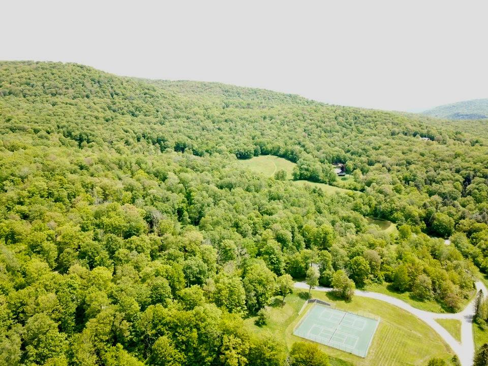 TBD High Meadow Road, Lew Beach, NY 12758