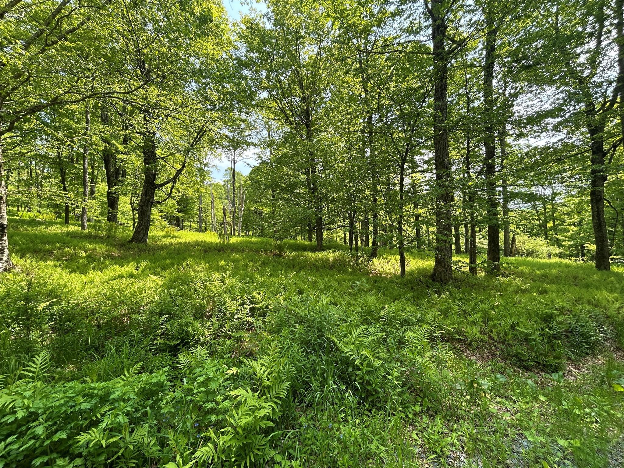 TBD High Meadow Road, Lew Beach, NY 12758