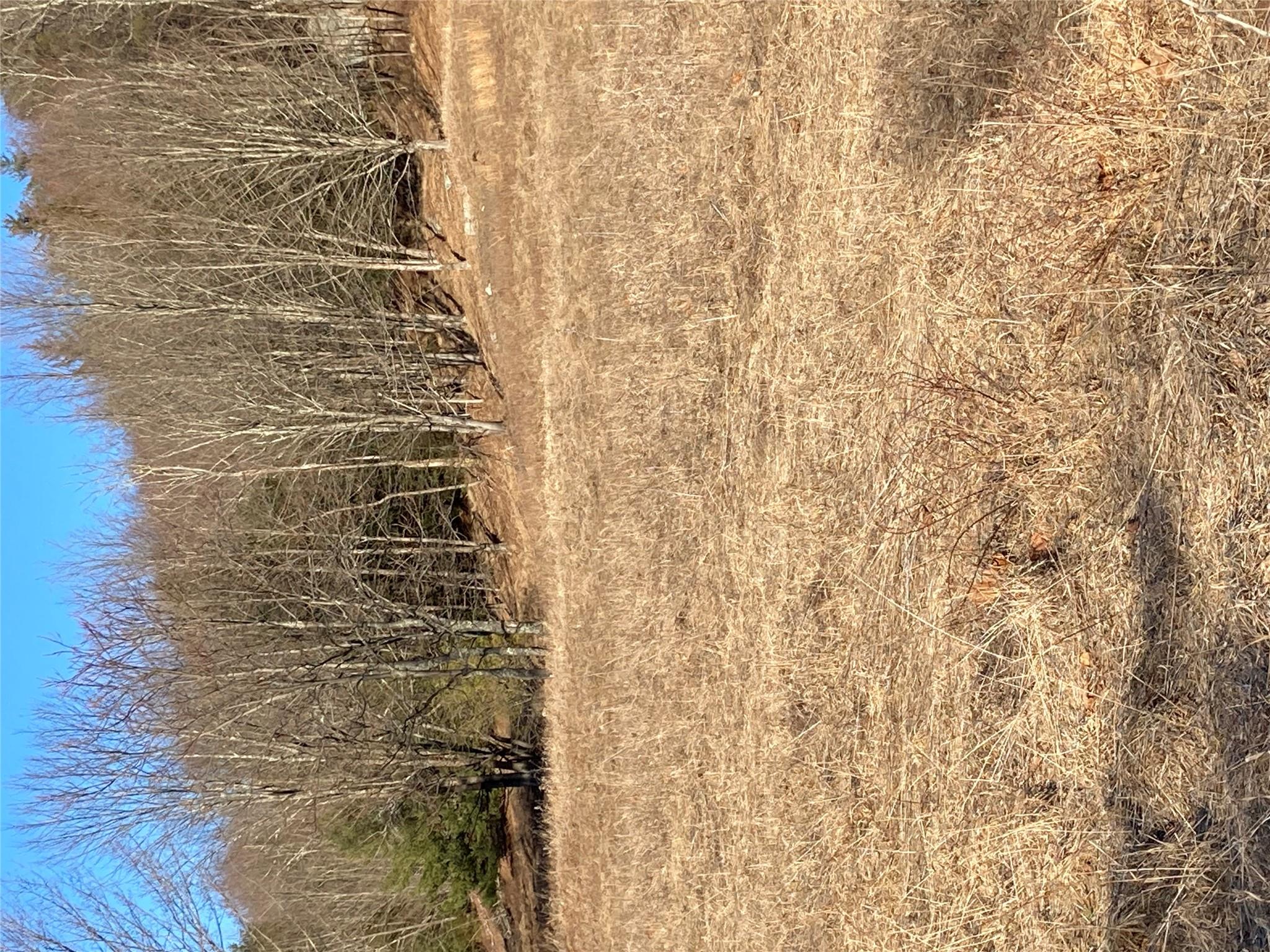 South Gully / Mt Meenagha S Gully, Cragsmoor, NY 12420