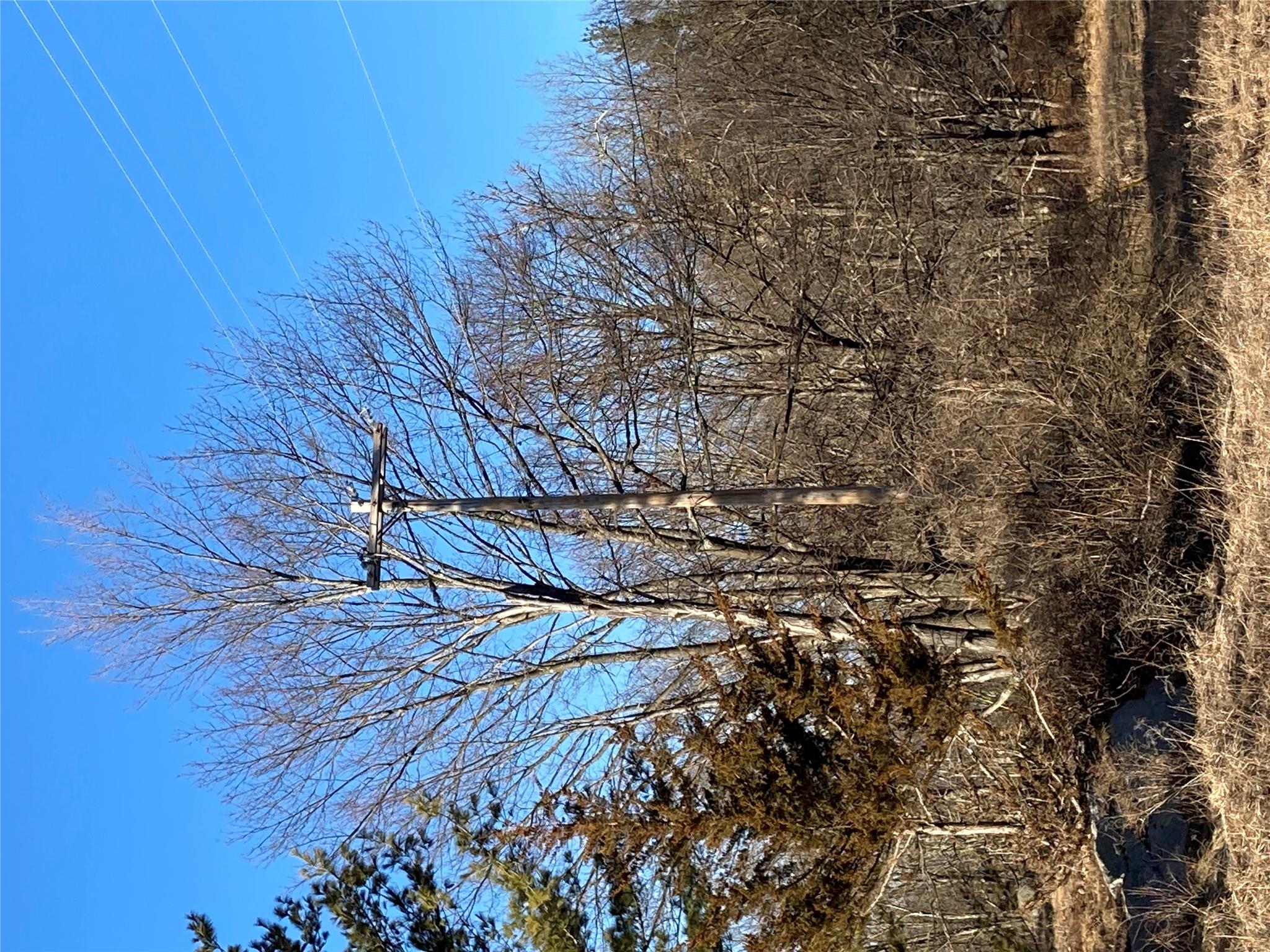 South Gully / Mt Meenagha S Gully, Cragsmoor, NY 12420