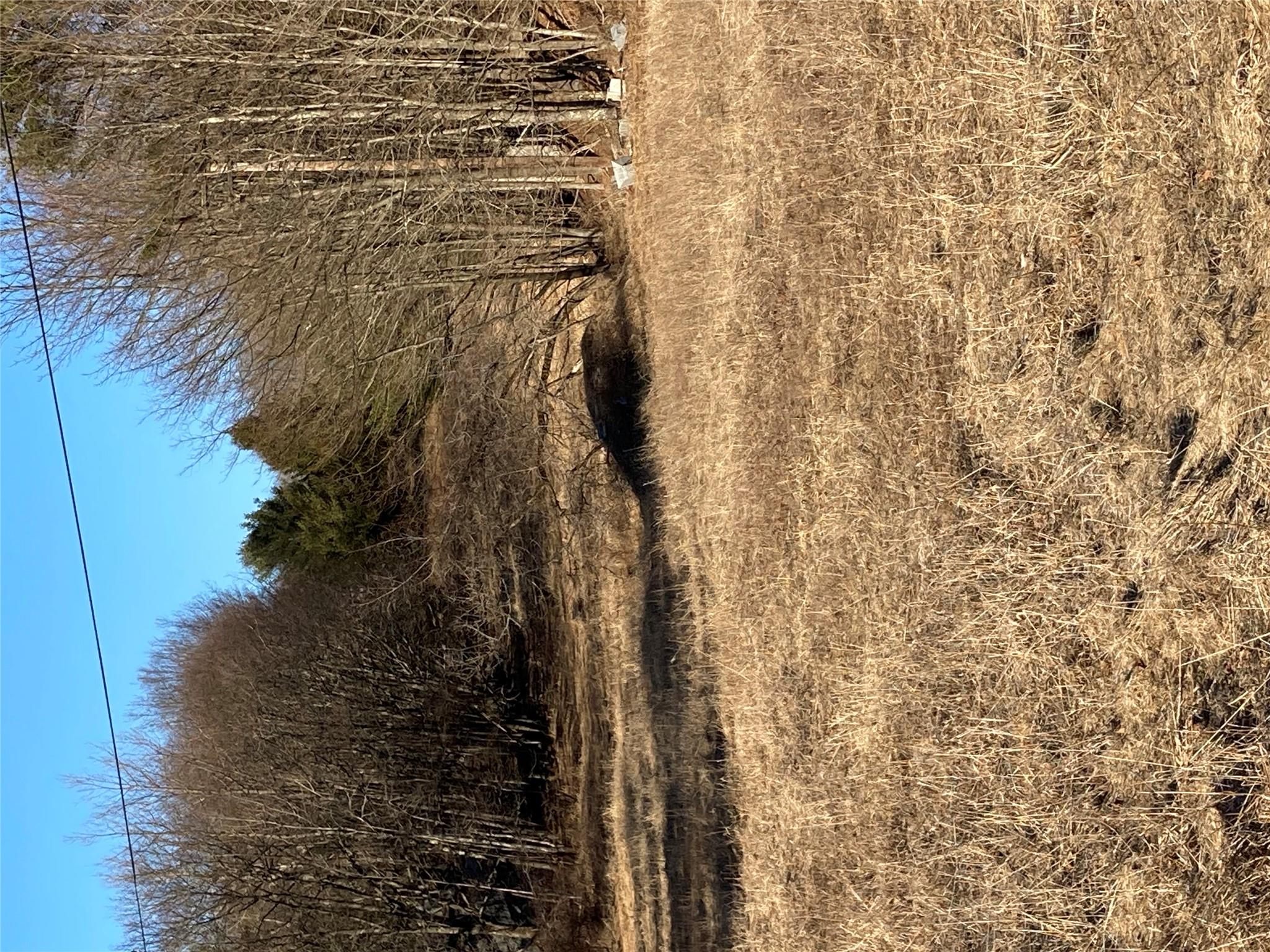 South Gully / Mt Meenagha S Gully, Cragsmoor, NY 12420