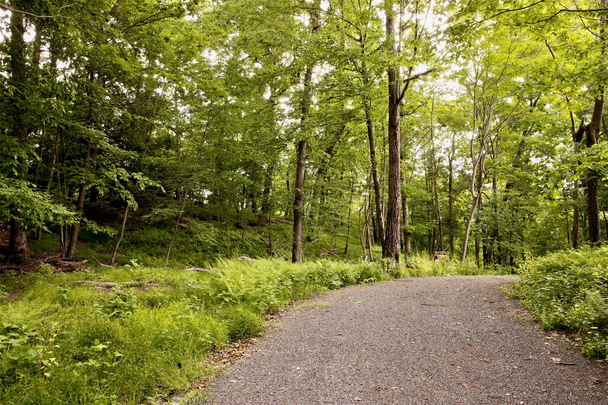 49 Sky Top Road, Copake, NY 12516