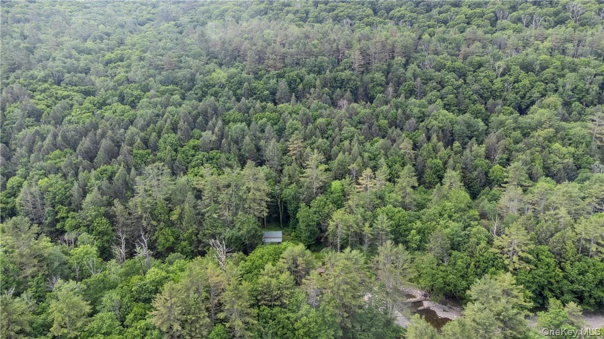 56 Saw Mill Road, Claryville, NY 12725