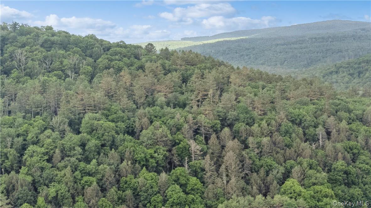 56 Saw Mill Road, Claryville, NY 12725