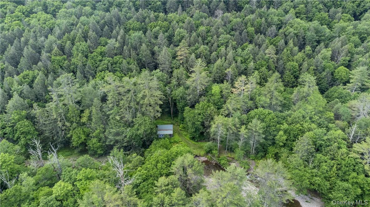 56 Saw Mill Road, Claryville, NY 12725