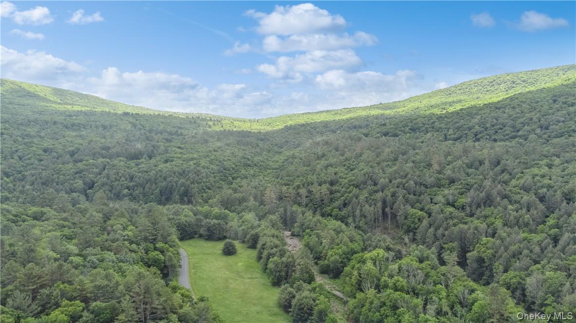 56 Saw Mill Road, Claryville, NY 12725